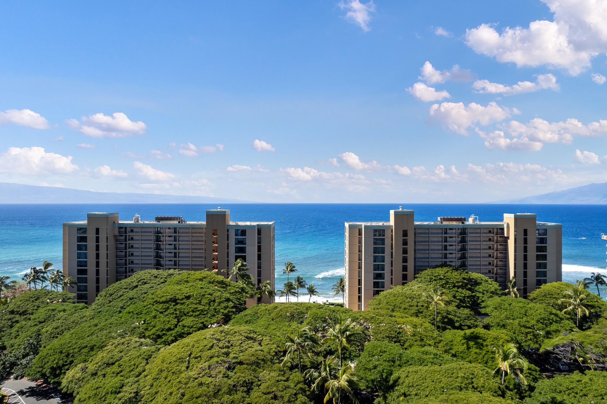110 Kaanapali Shores Pl Property Photo 43