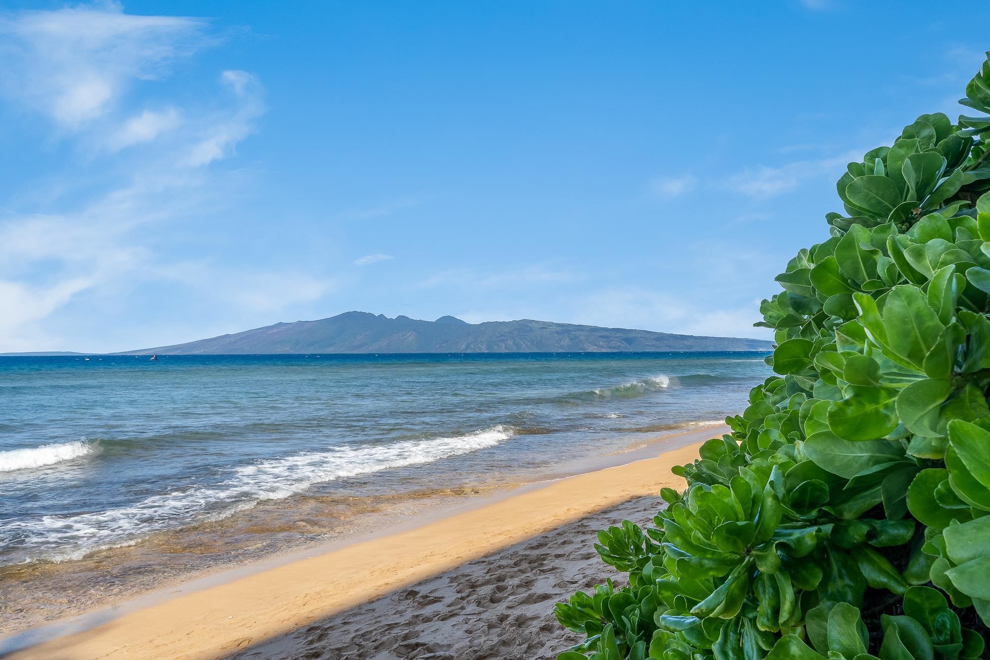 110 Kaanapali Shores Pl Property Photo 47