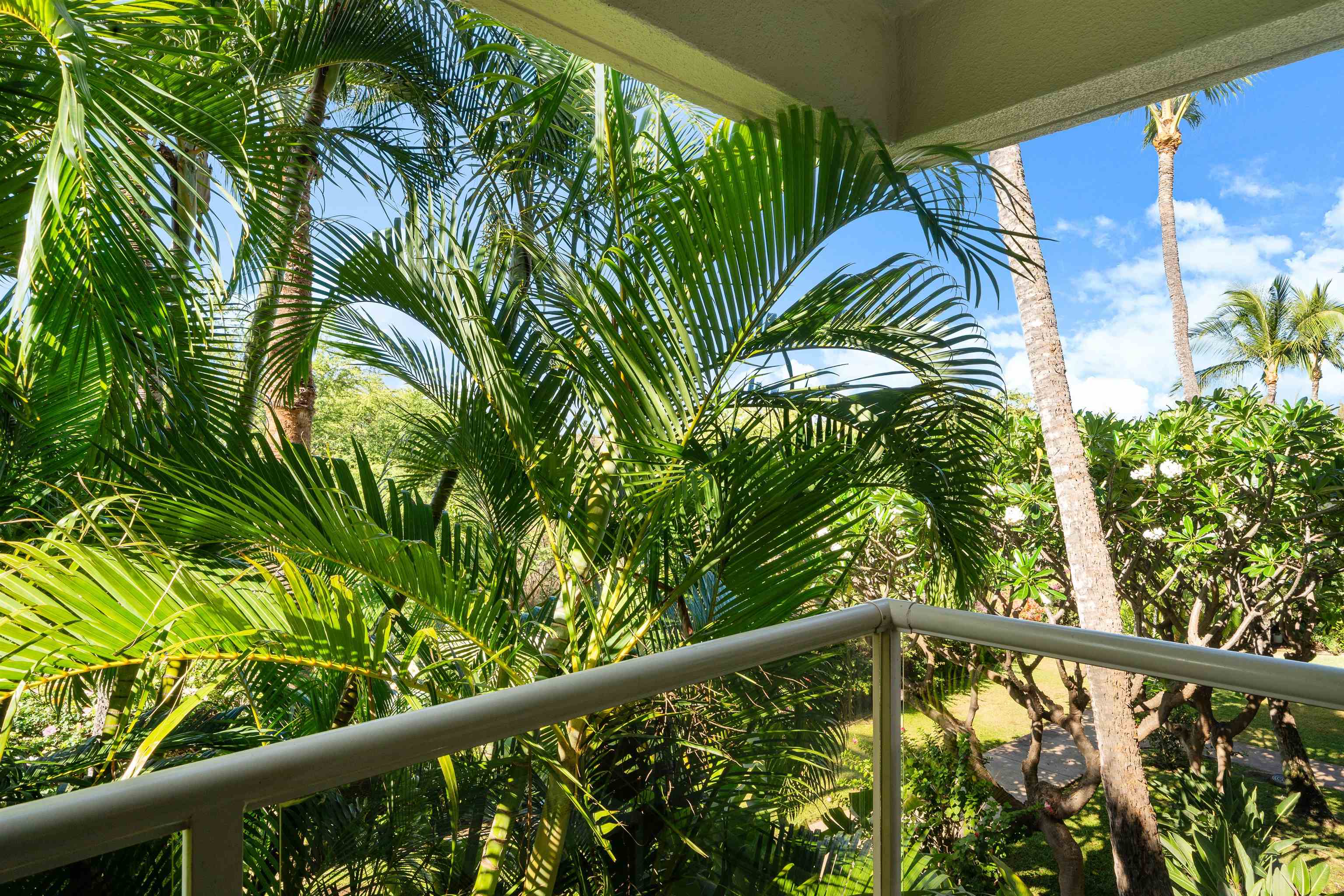 2575 S Kihei Rd Property Photo 6