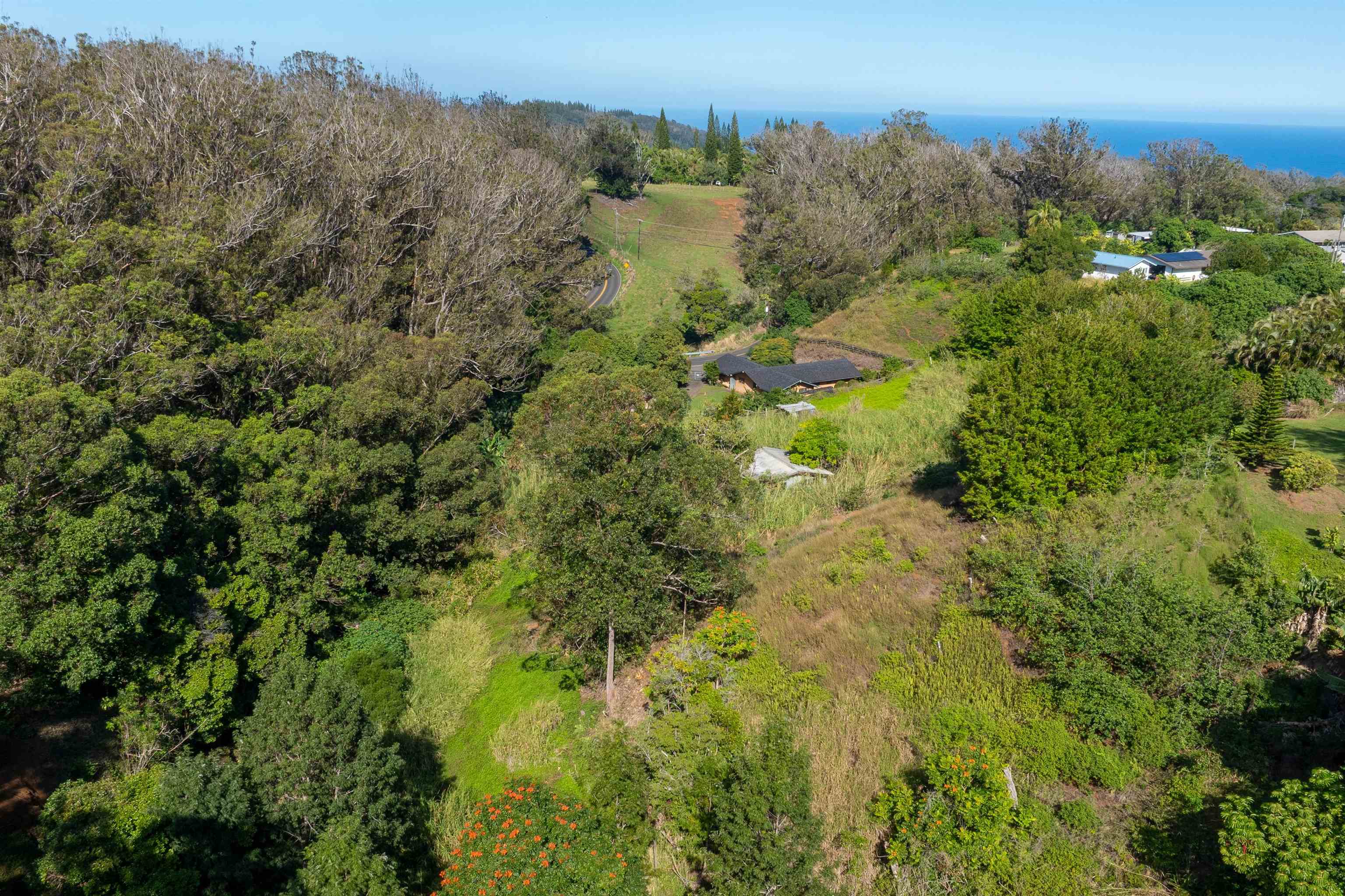 2475 Kaupakalua Rd Property Photo 18