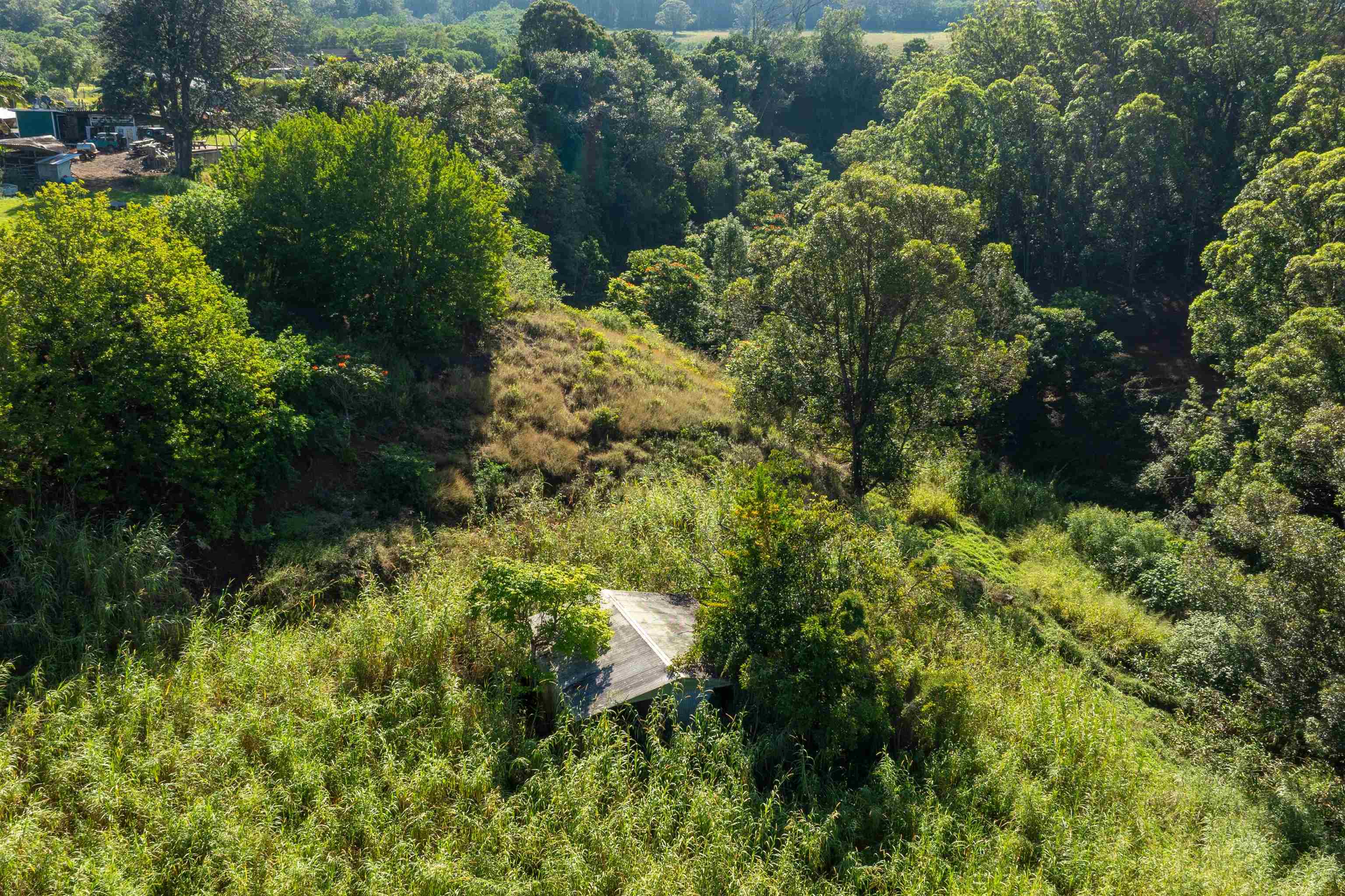 2475 Kaupakalua Rd Property Photo 20