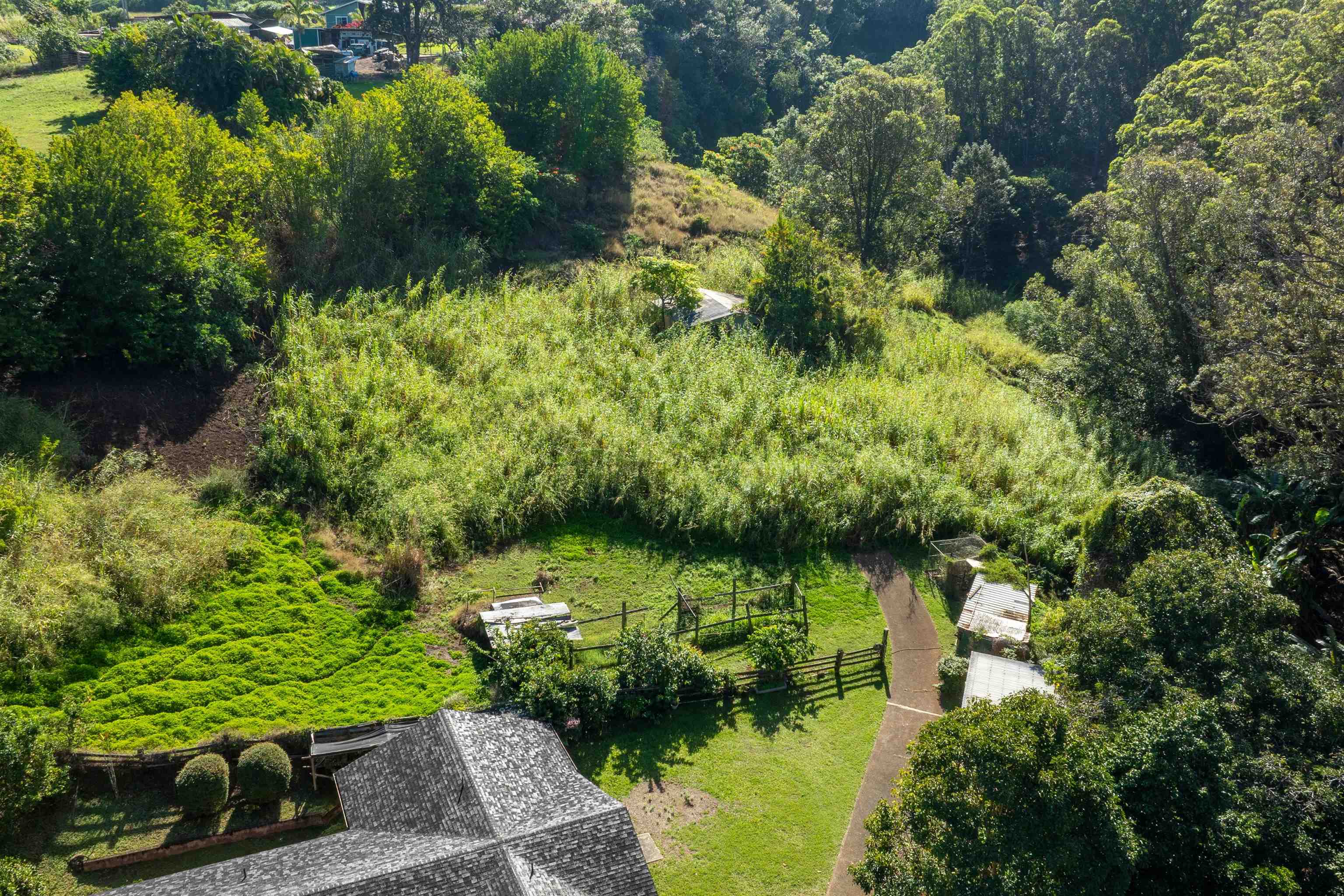 2475 Kaupakalua Rd Property Photo 21