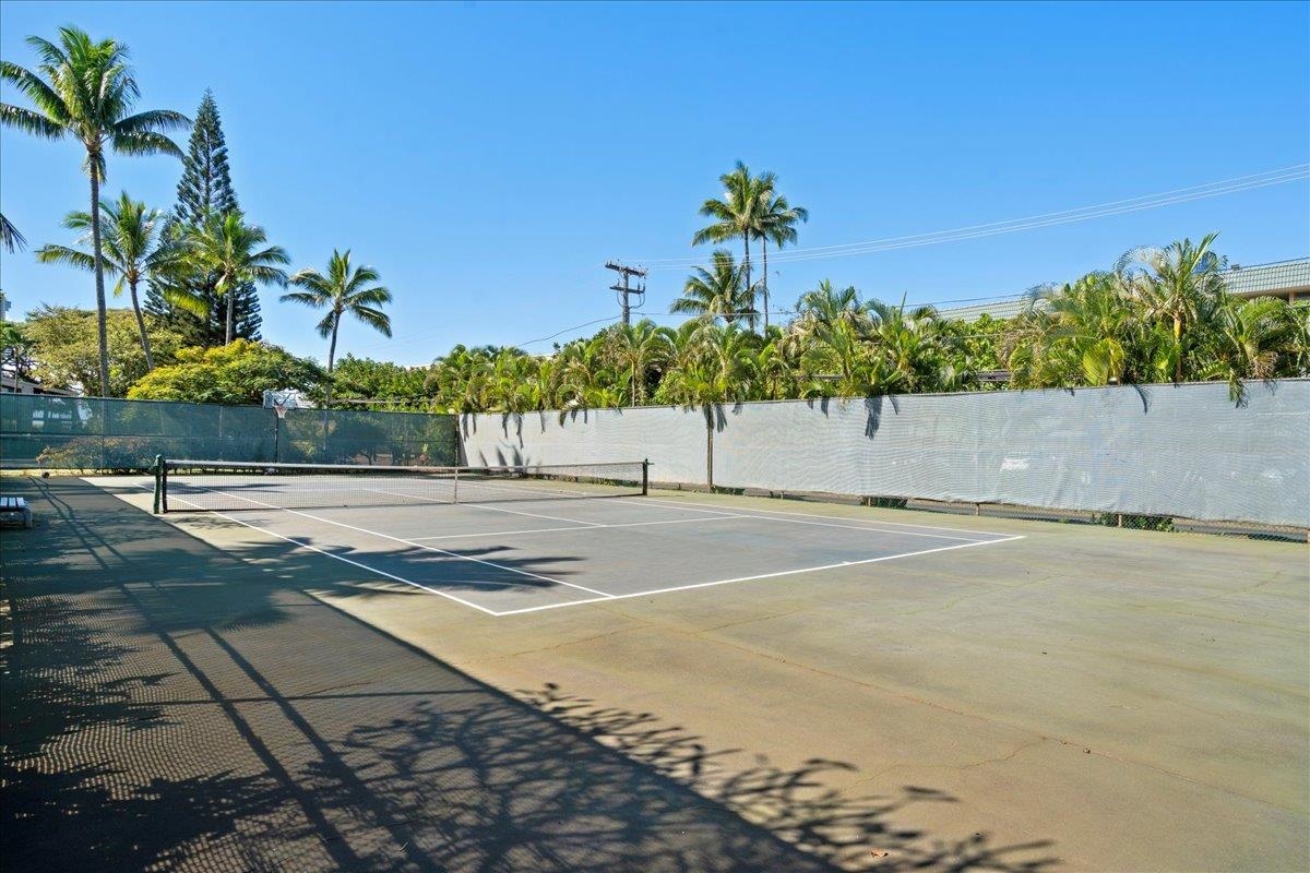 4435 Lower Honoapiilani Rd Property Photo 31