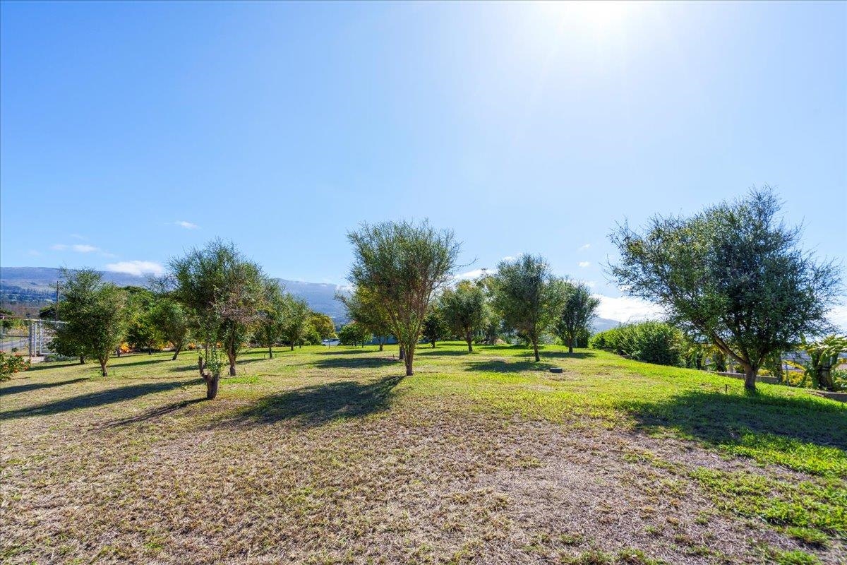 40 Pulehu Nui Rd Property Photo 37