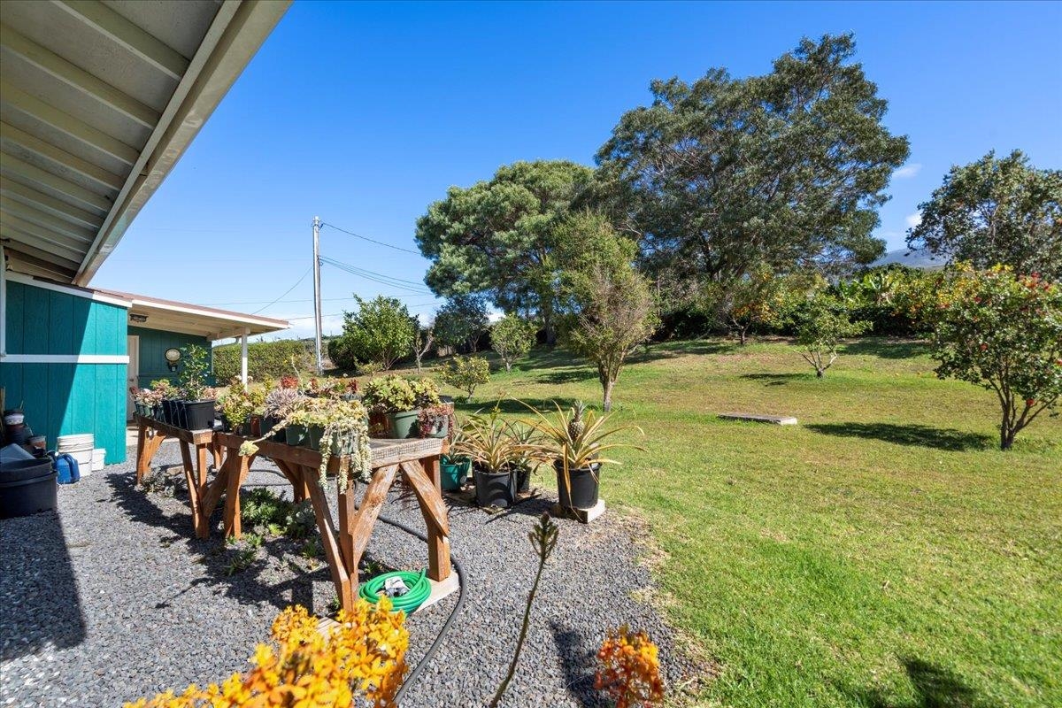 40 Pulehu Nui Rd Property Photo 43