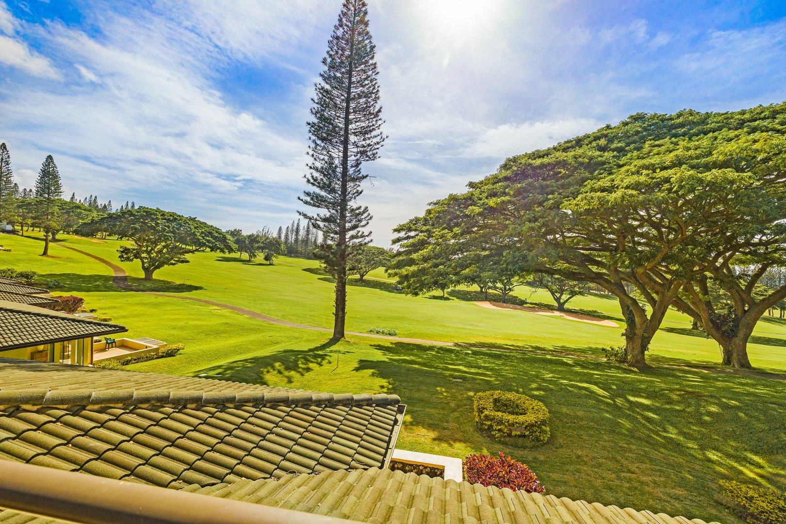 500 Kapalua Dr Property Photo 11