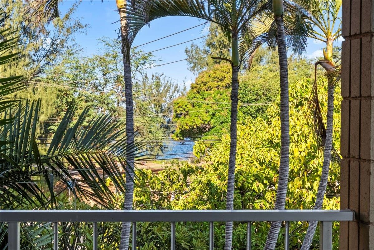 2619 S Kihei Rd Property Photo 3