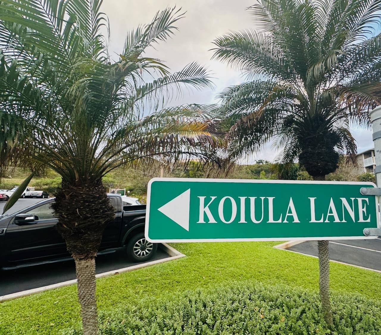 3 Koiula Ln Property Photo 21