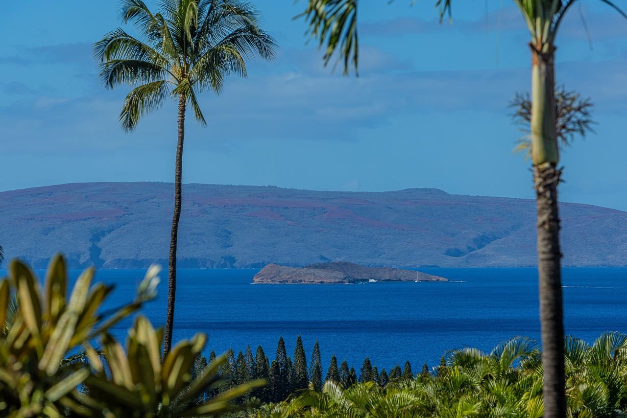 3943 Wailea Ekolu Pl Property Photo 4