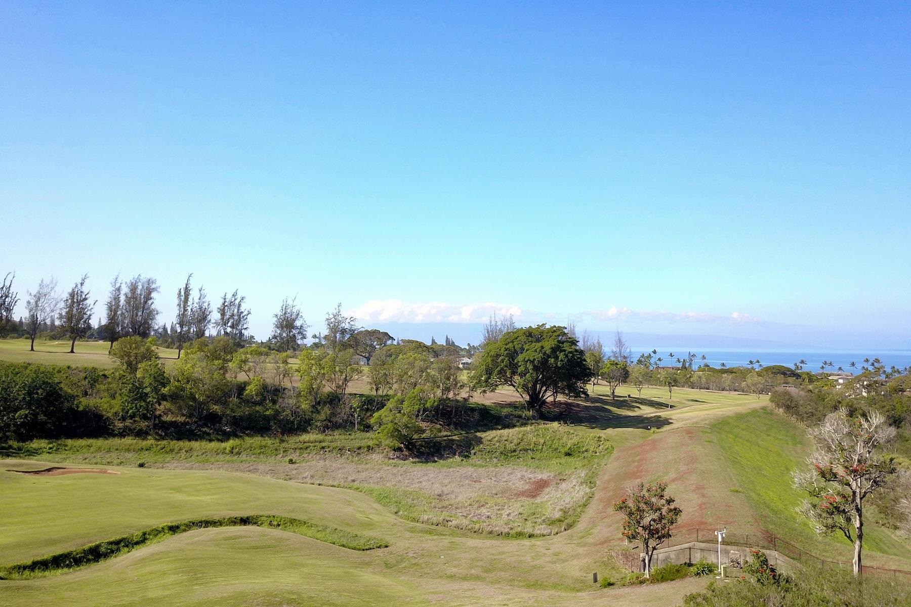 5510 Lower Honoapiilani Rd Property Photo 4