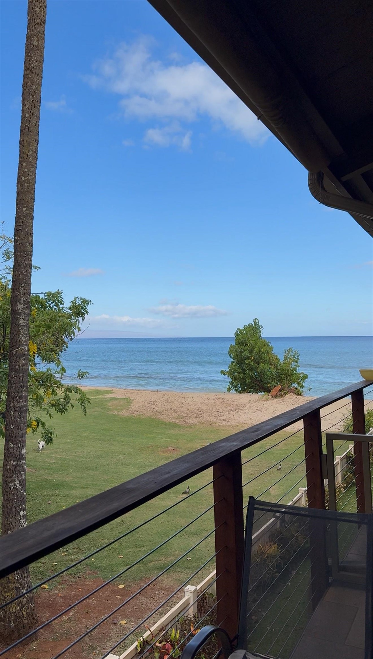 3691 Lower Honoapiilani Rd Property Photo 46