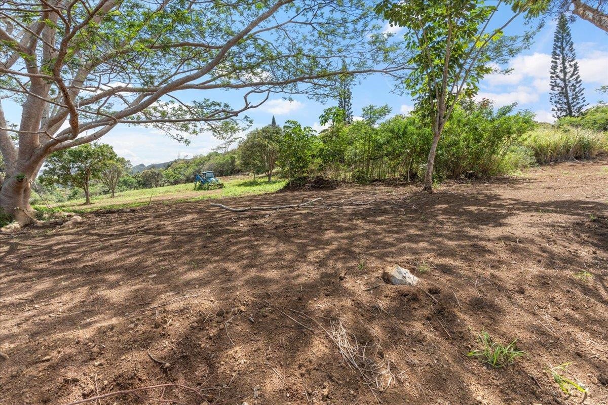 27 Hulumanu Pl Property Photo 9