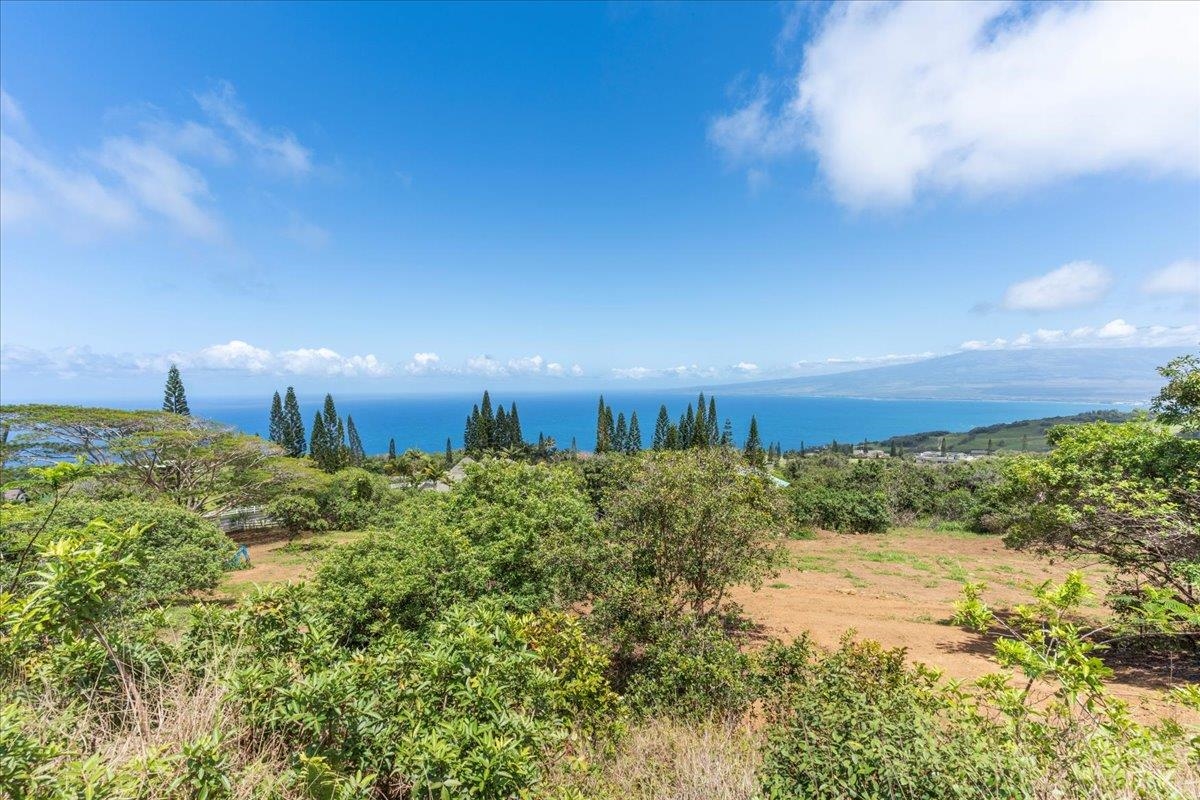27 Hulumanu Pl Property Photo 12