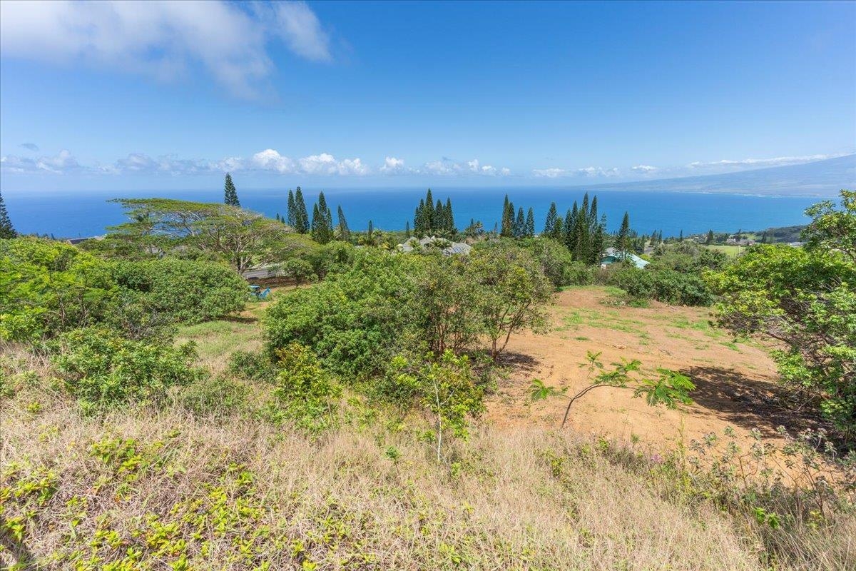 27 Hulumanu Pl Property Photo 14