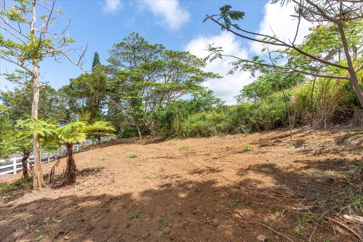 27 Hulumanu Pl Property Photo 17