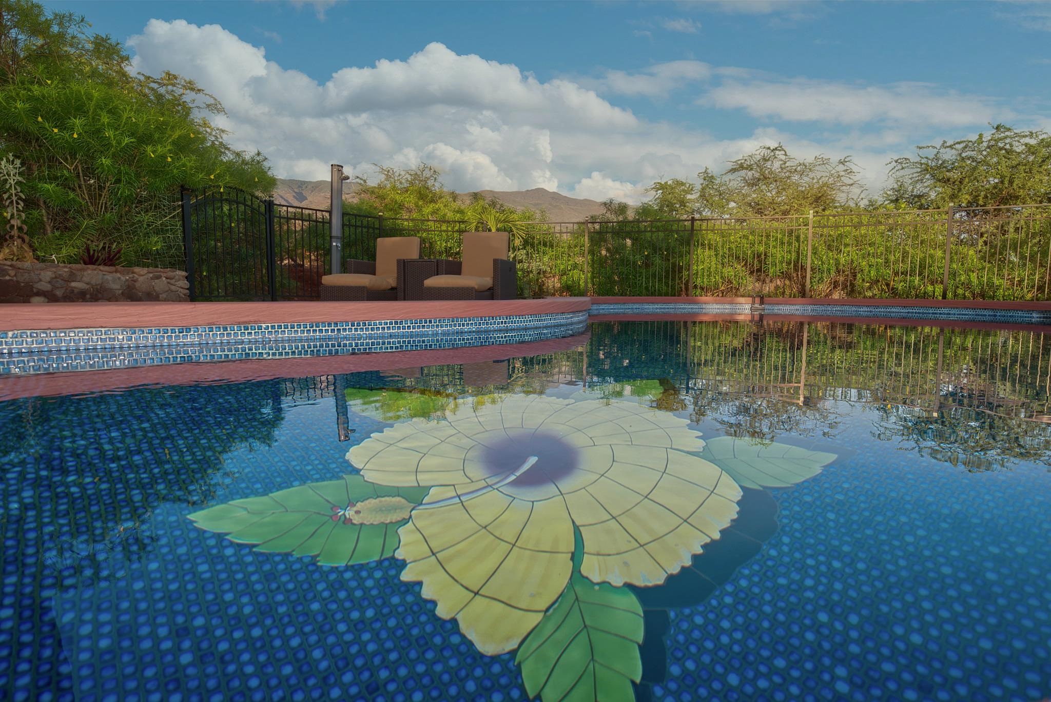 170 Ulua Rd Property Photo 39