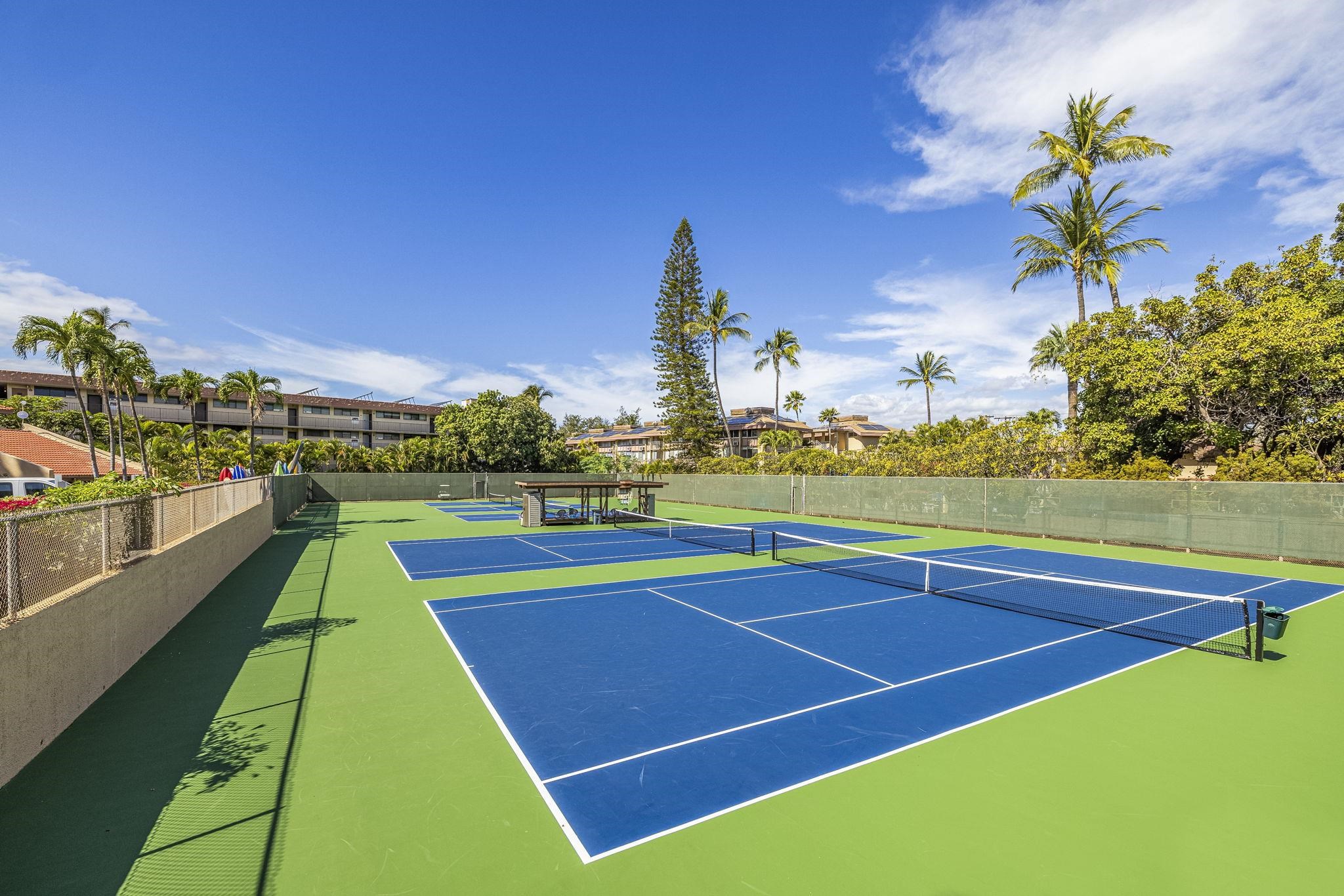 2695 S Kihei Rd Property Photo 29
