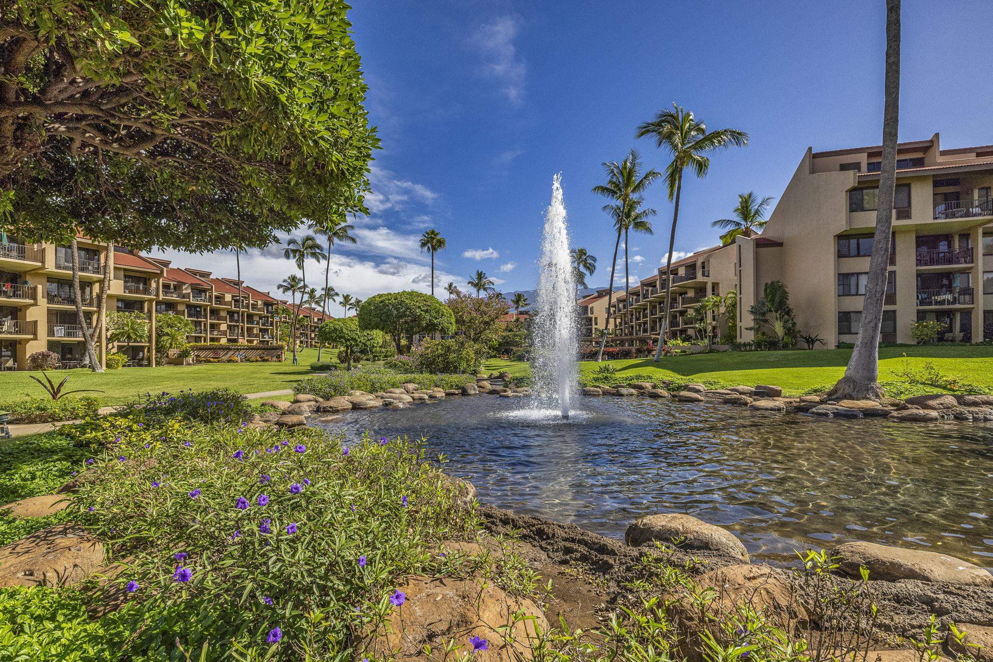 2695 S Kihei Rd Property Photo 31