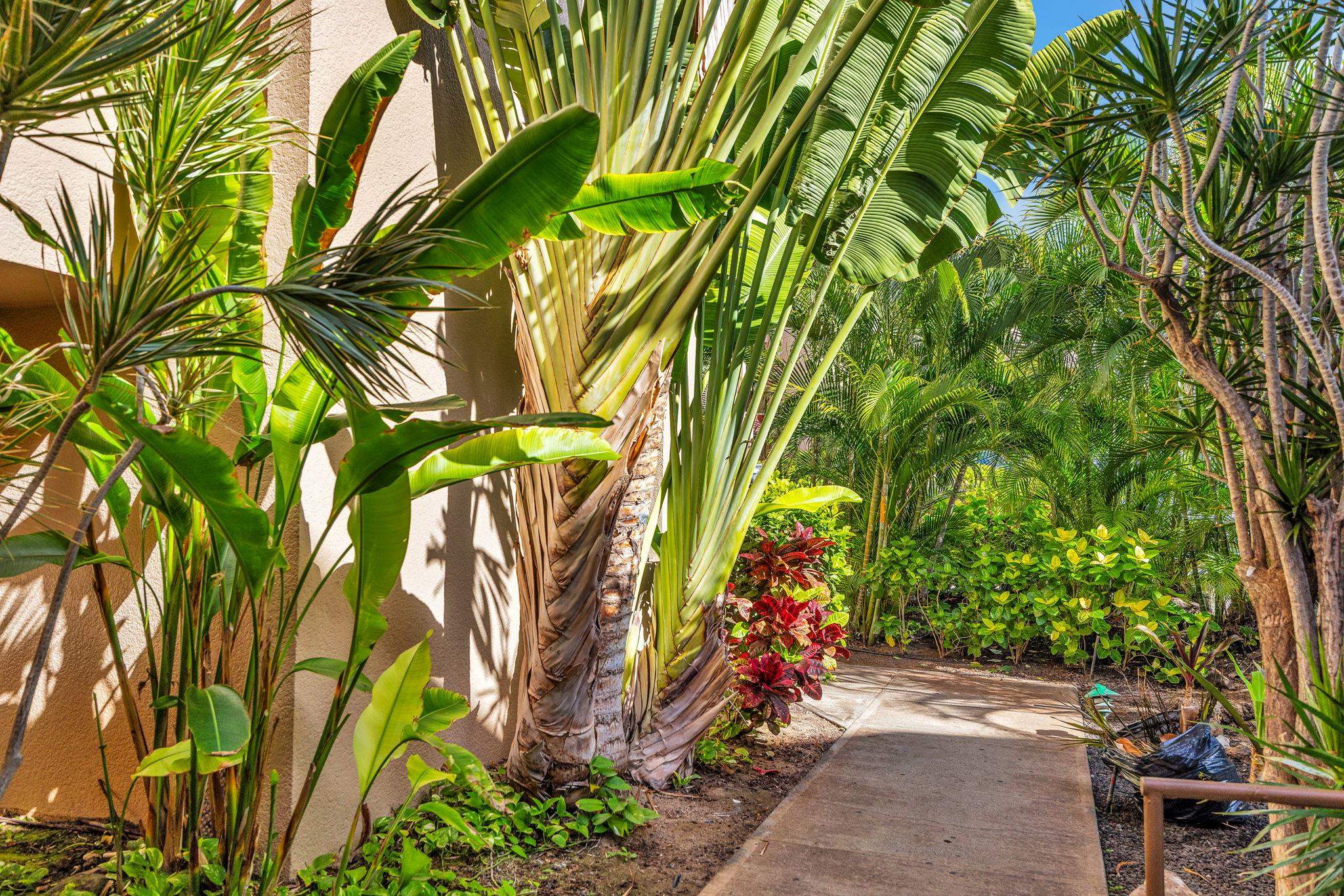 2695 S Kihei Rd Property Photo 32