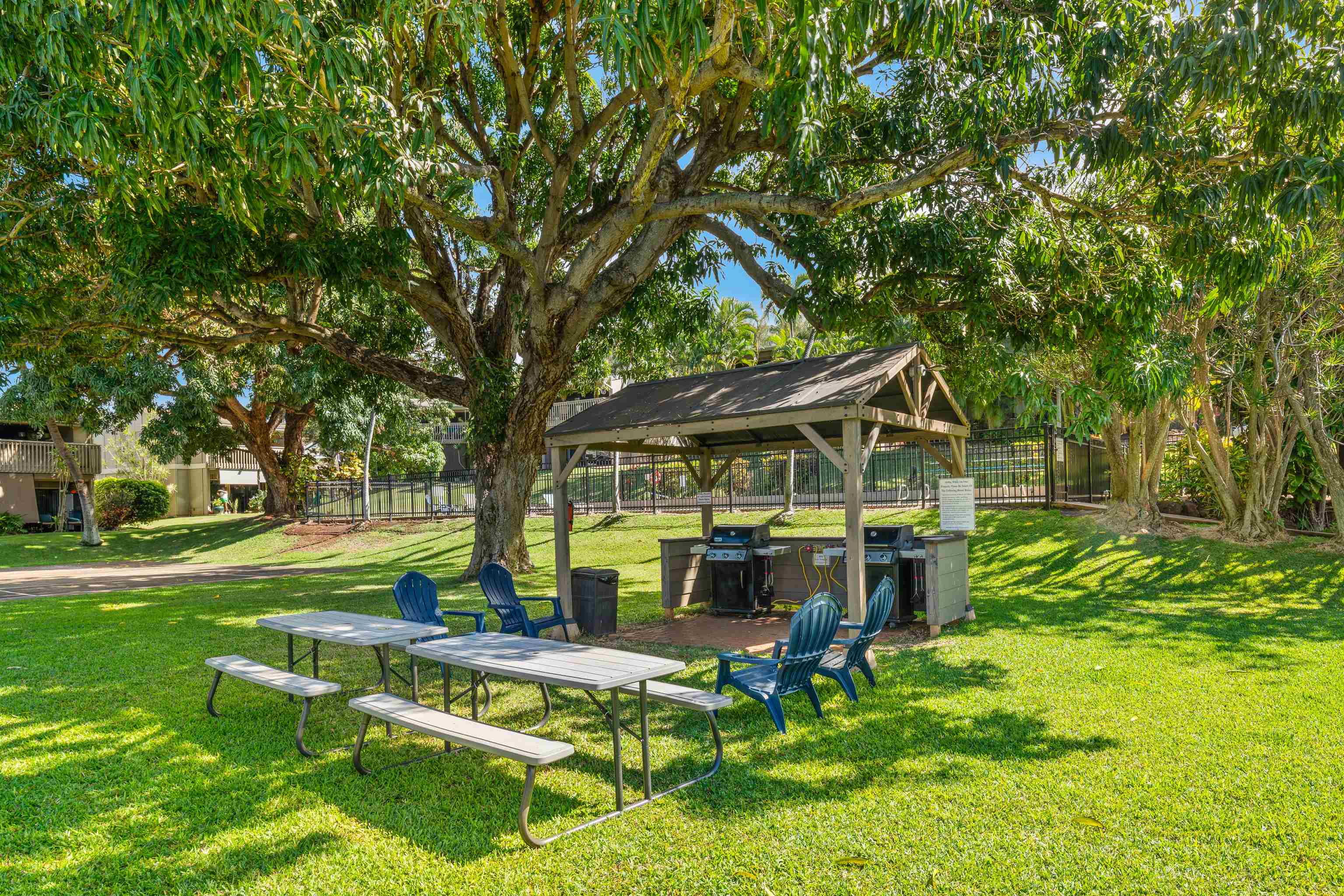 4435 Lower Honoapiilani Rd Property Photo 18