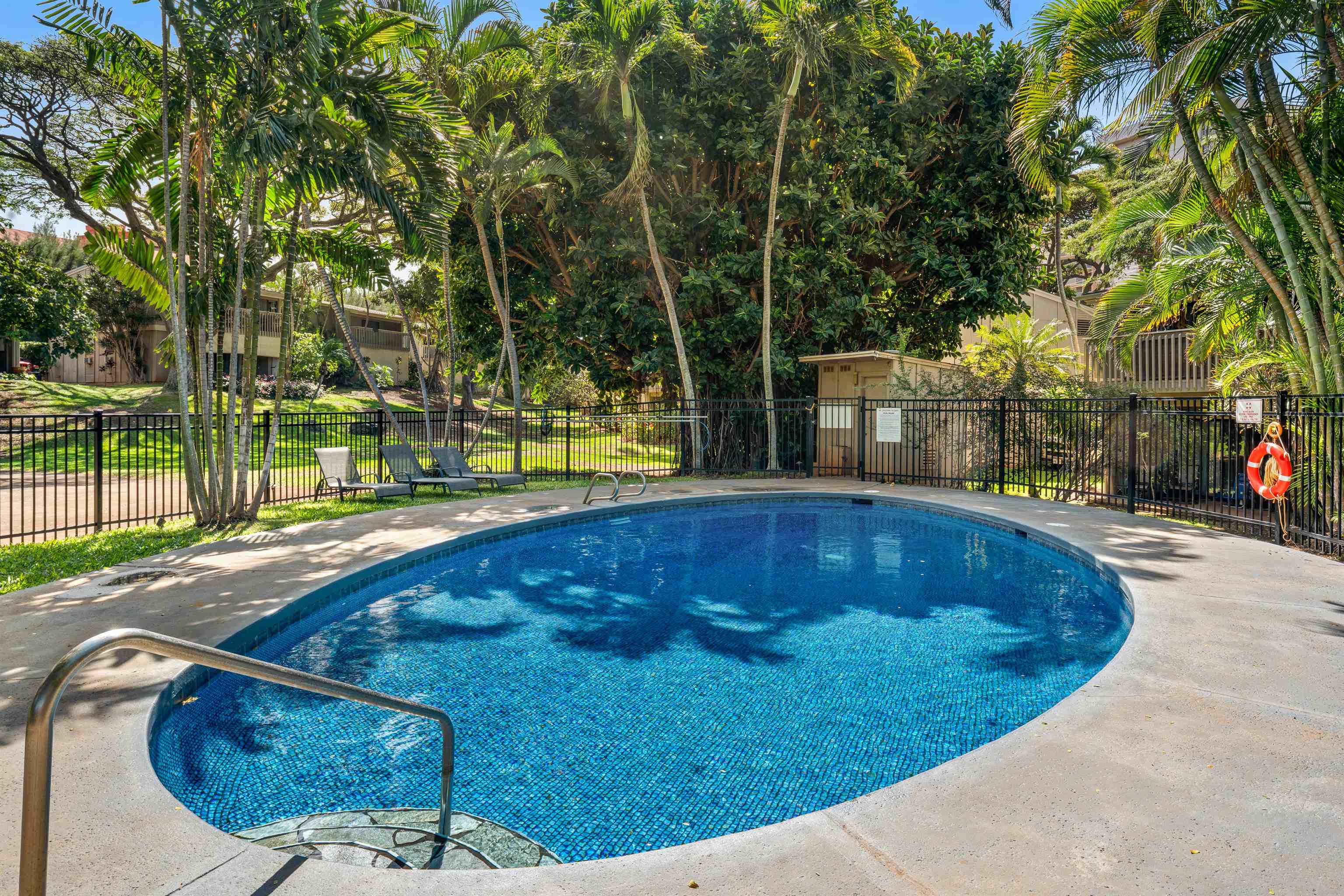 4435 Lower Honoapiilani Rd Property Photo 19