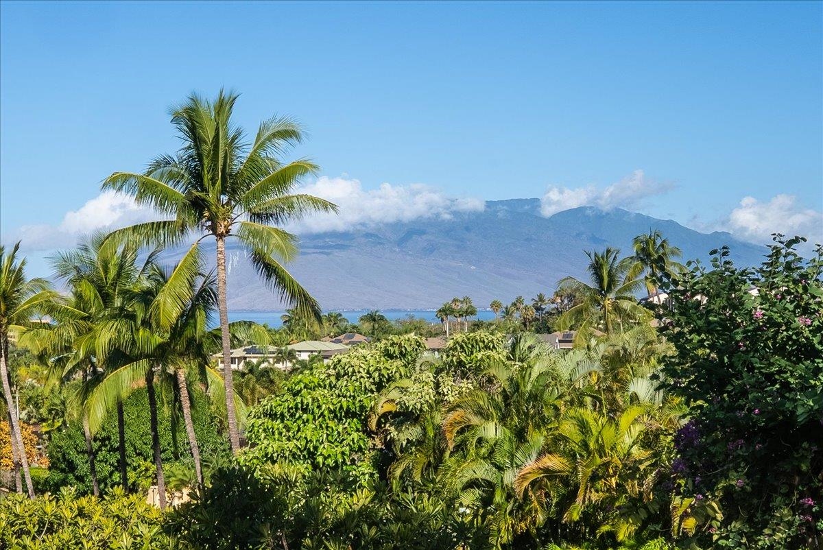 3150 Wailea Alanui Dr Property Photo 2