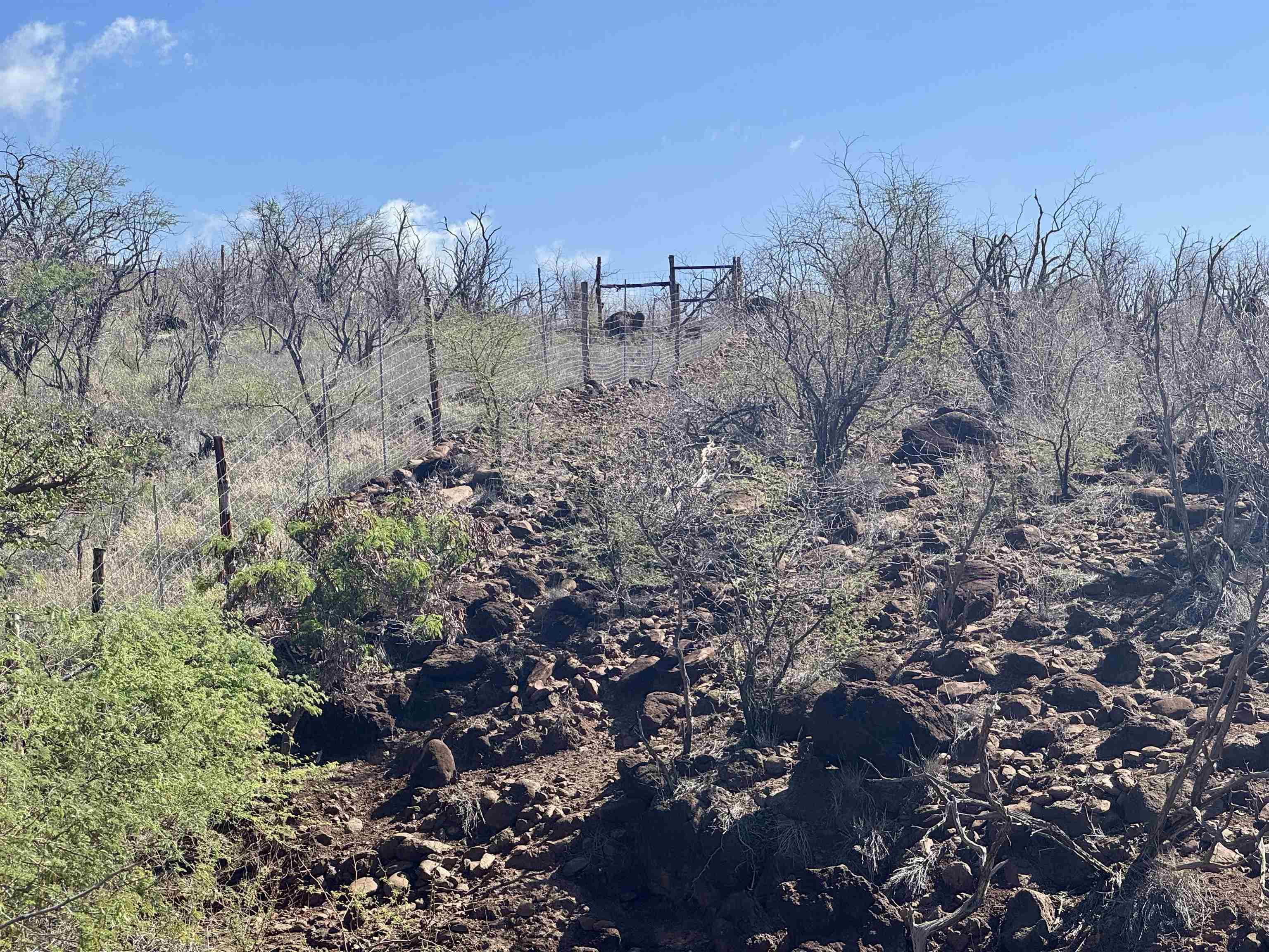 0 Waiokama Pl Property Photo 6