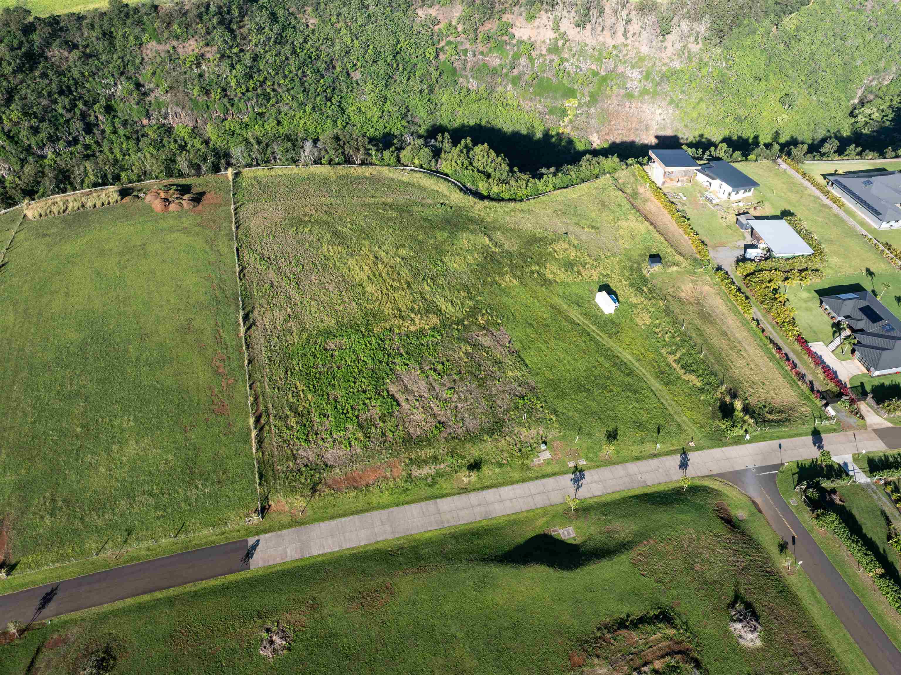 1022 Auwaha Pl Property Photo 6