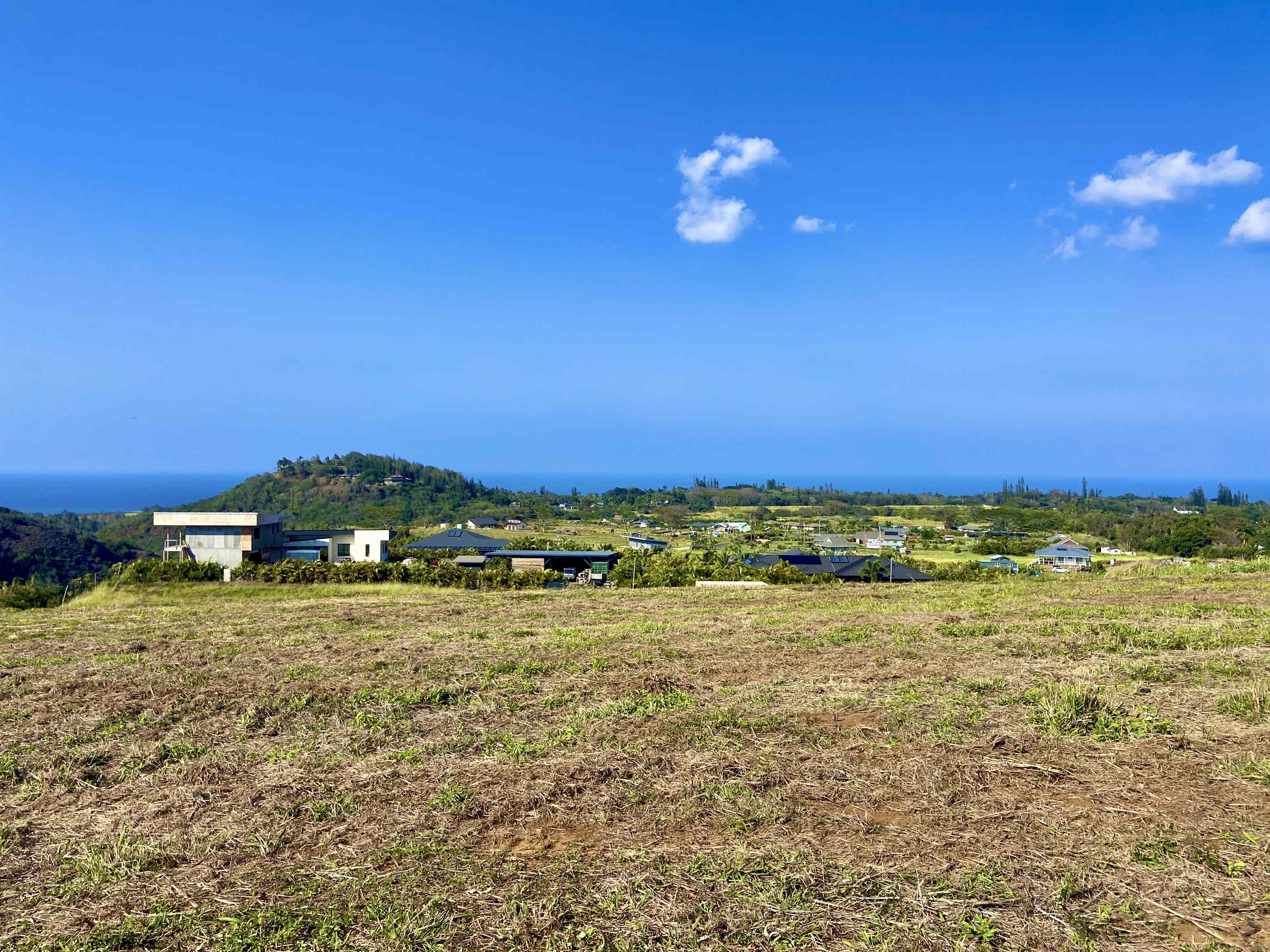 1022 Auwaha Pl Property Photo 9