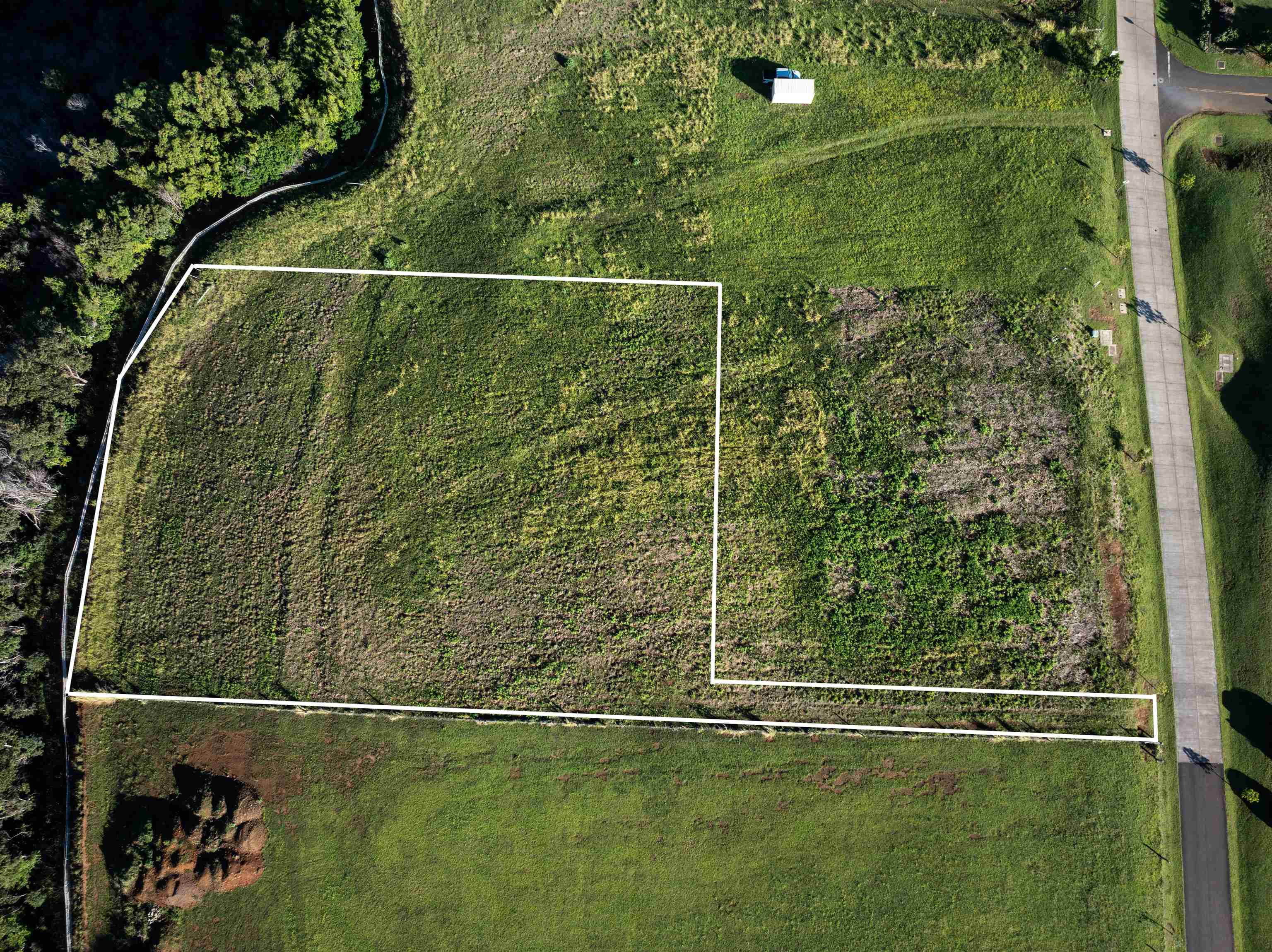 1022 Auwaha Pl Property Photo 13