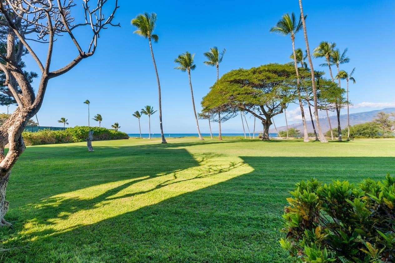 1002 S Kihei Rd Property Photo 46