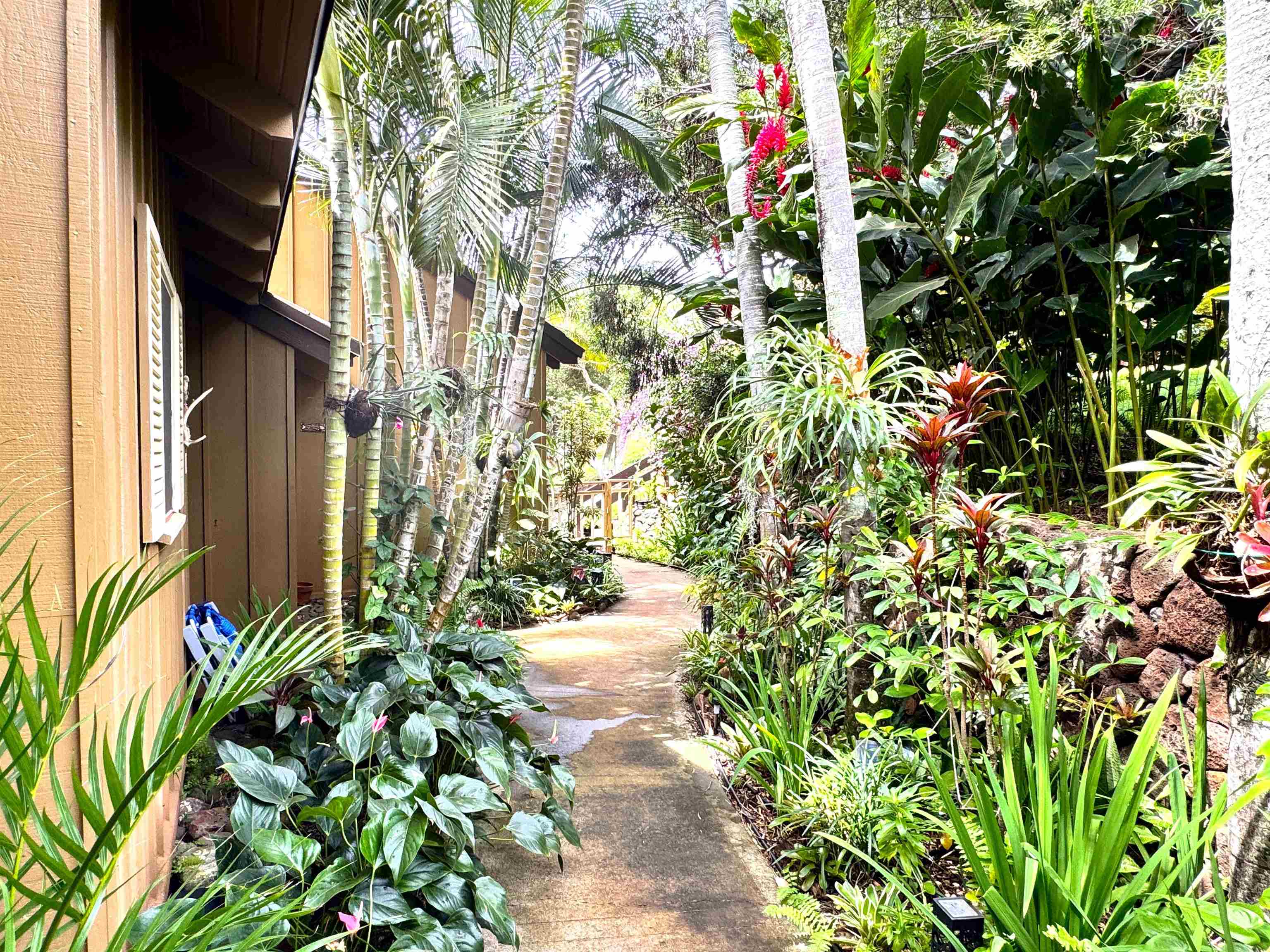 100 Lio Pl Property Photo 38