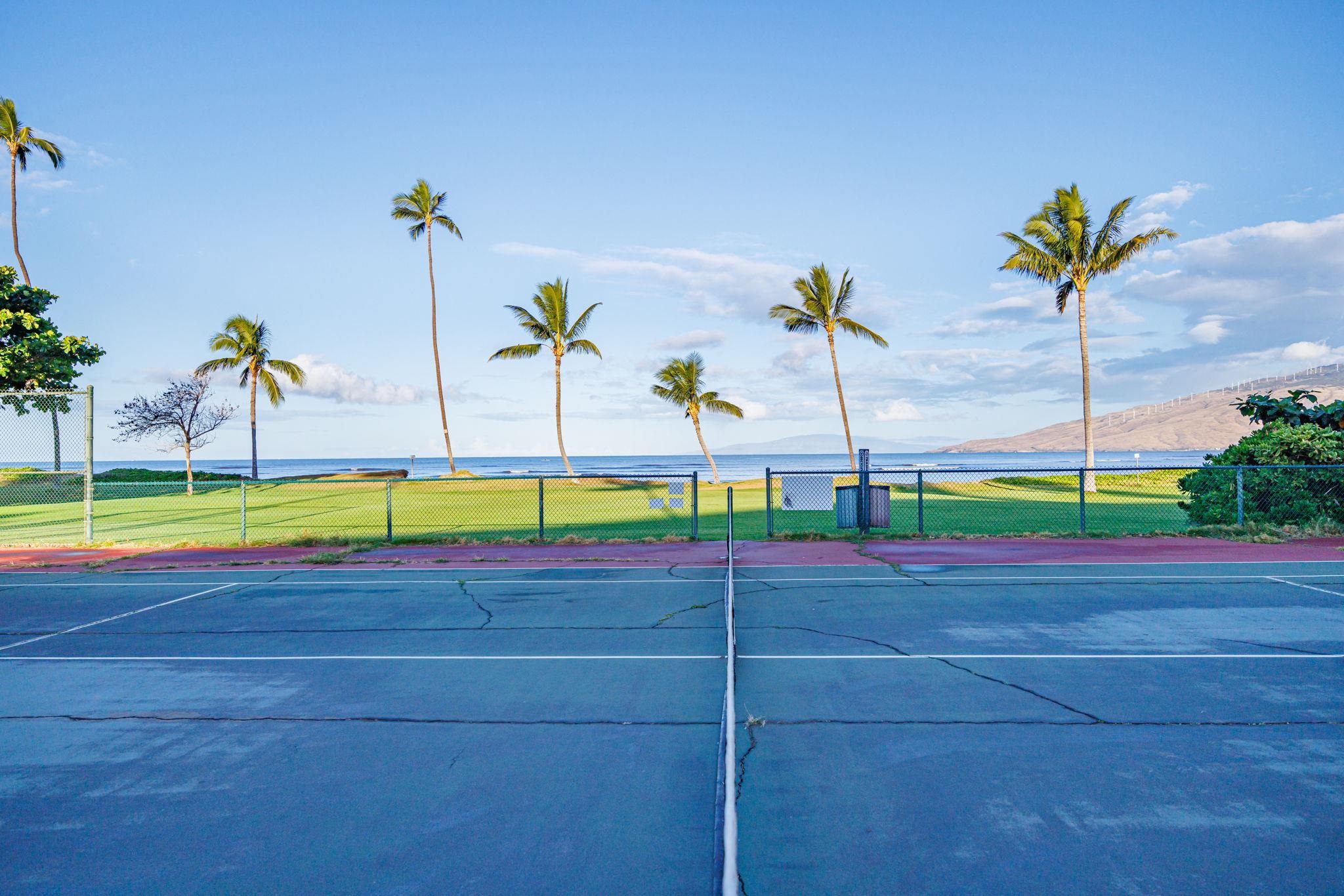 1032 S Kihei Rd Property Photo 23