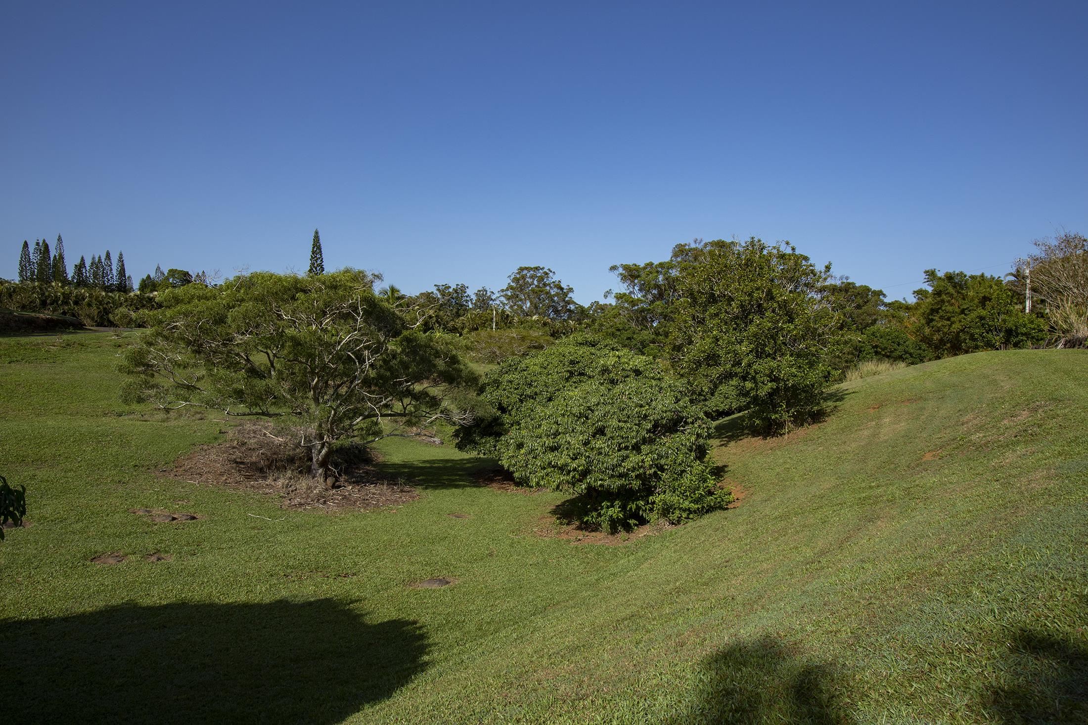 30 Mamao Pl Property Photo 34