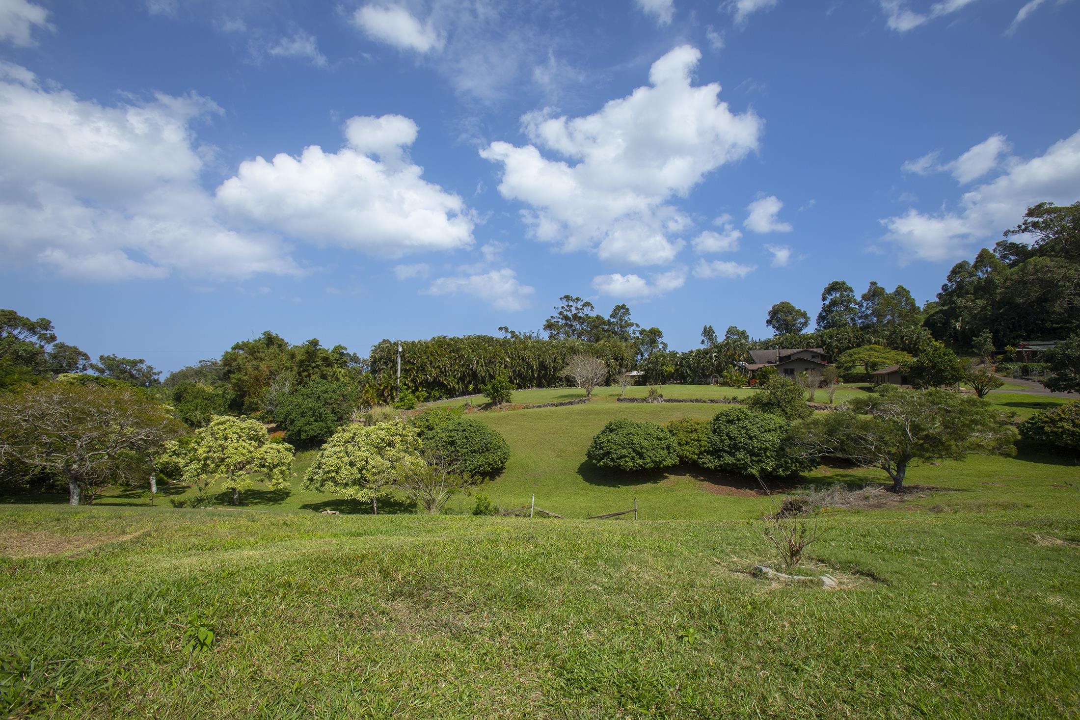 30 Mamao Pl Property Photo 39