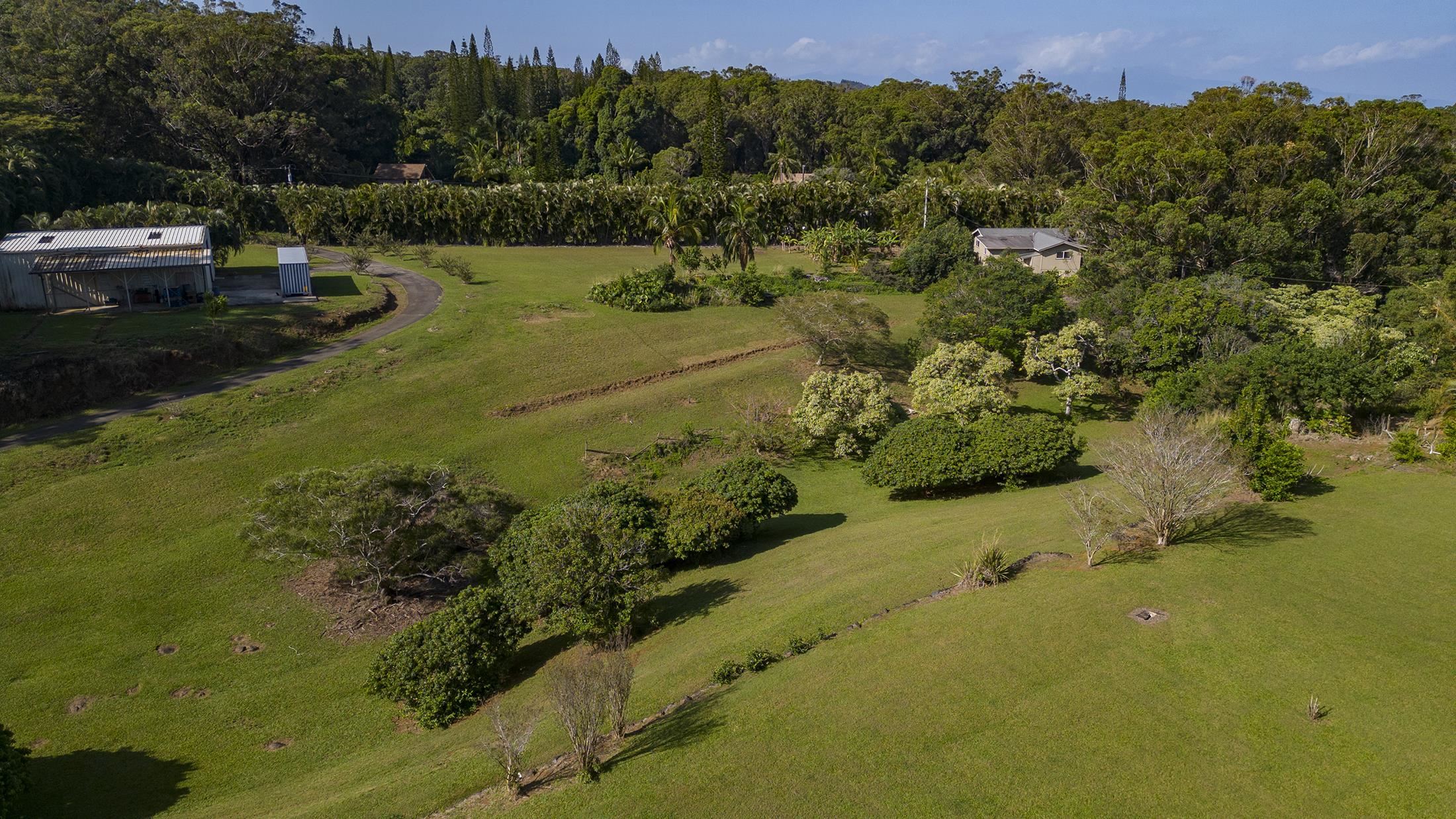 30 Mamao Pl Property Photo 40
