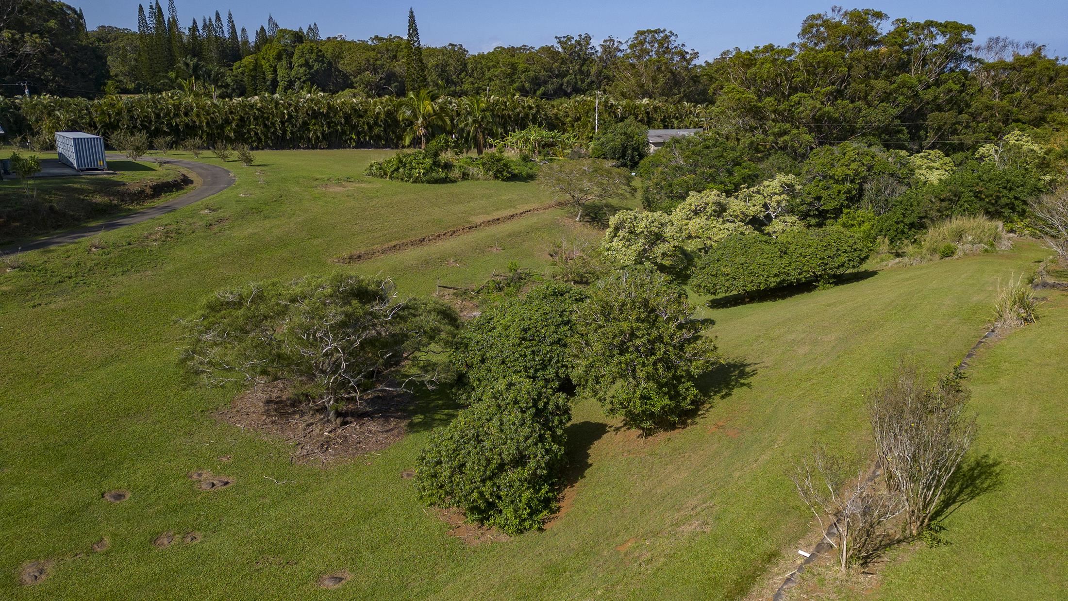 30 Mamao Pl Property Photo 41