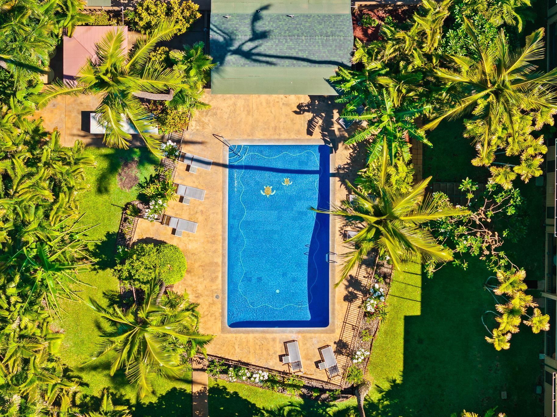 35 Walaka St Property Photo 3