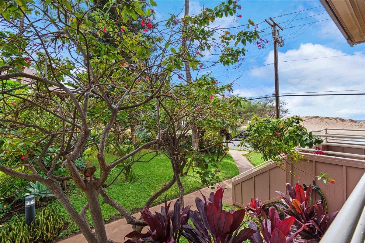 679 S Kihei Rd Property Photo 2