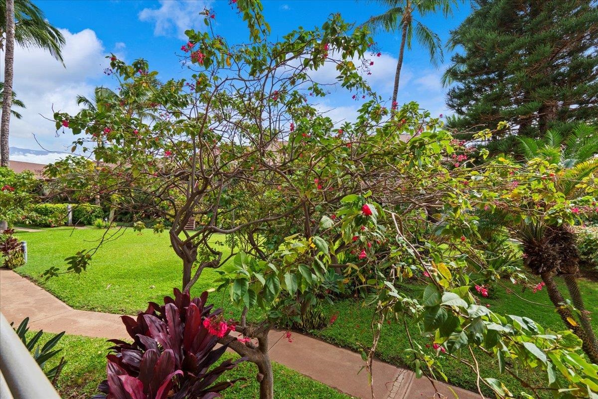 679 S Kihei Rd Property Photo 19