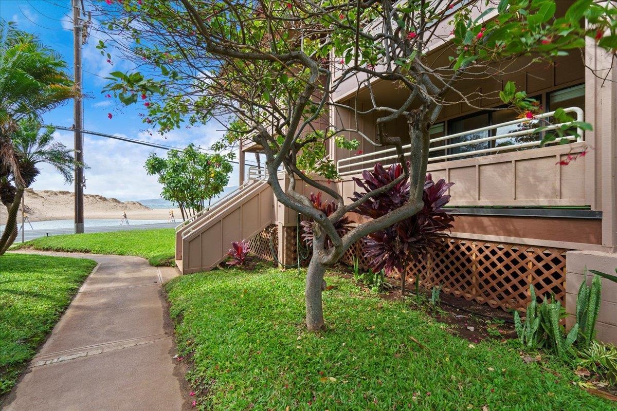 679 S Kihei Rd Property Photo 41