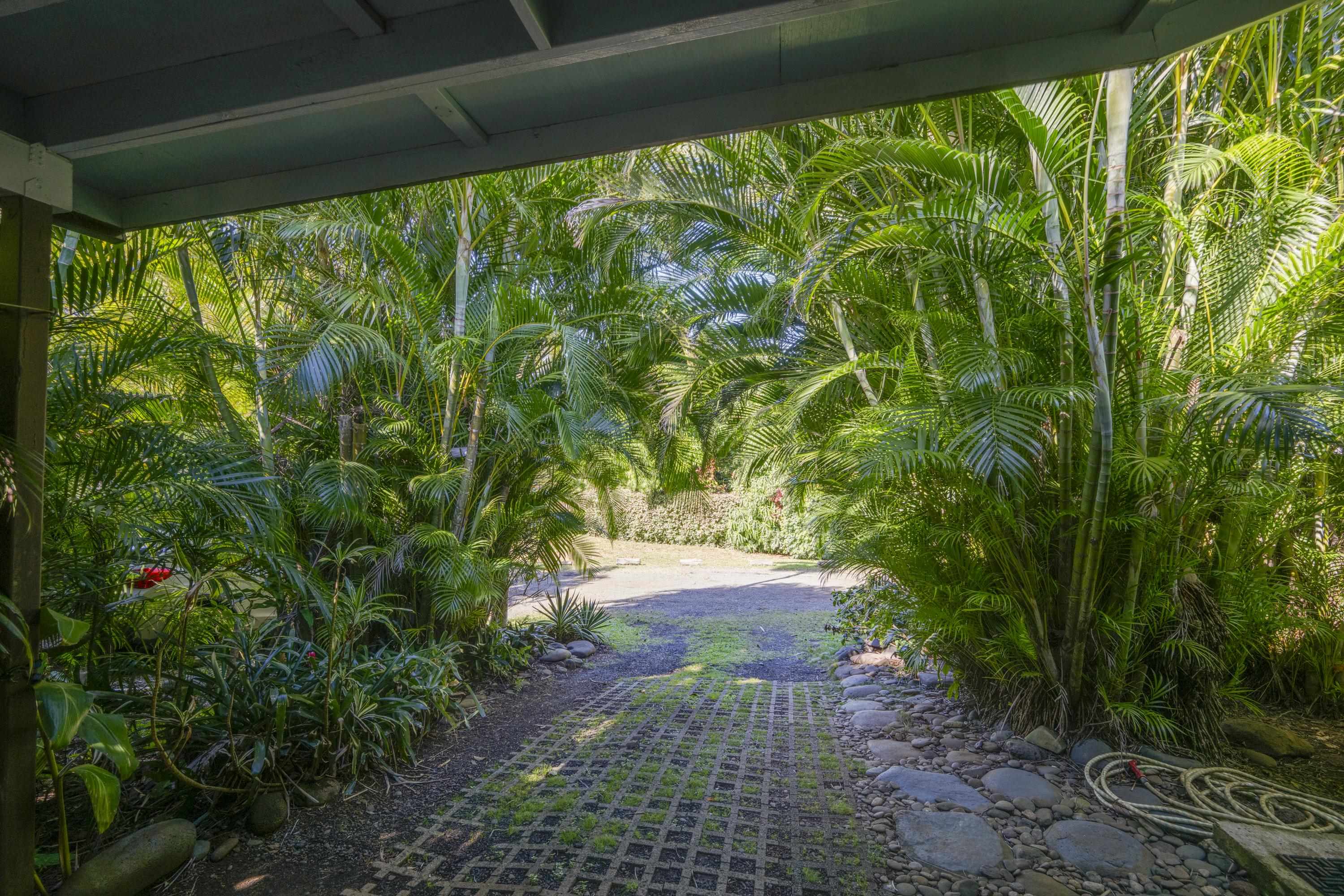 1002 Kauhikoa Rd Property Photo 3