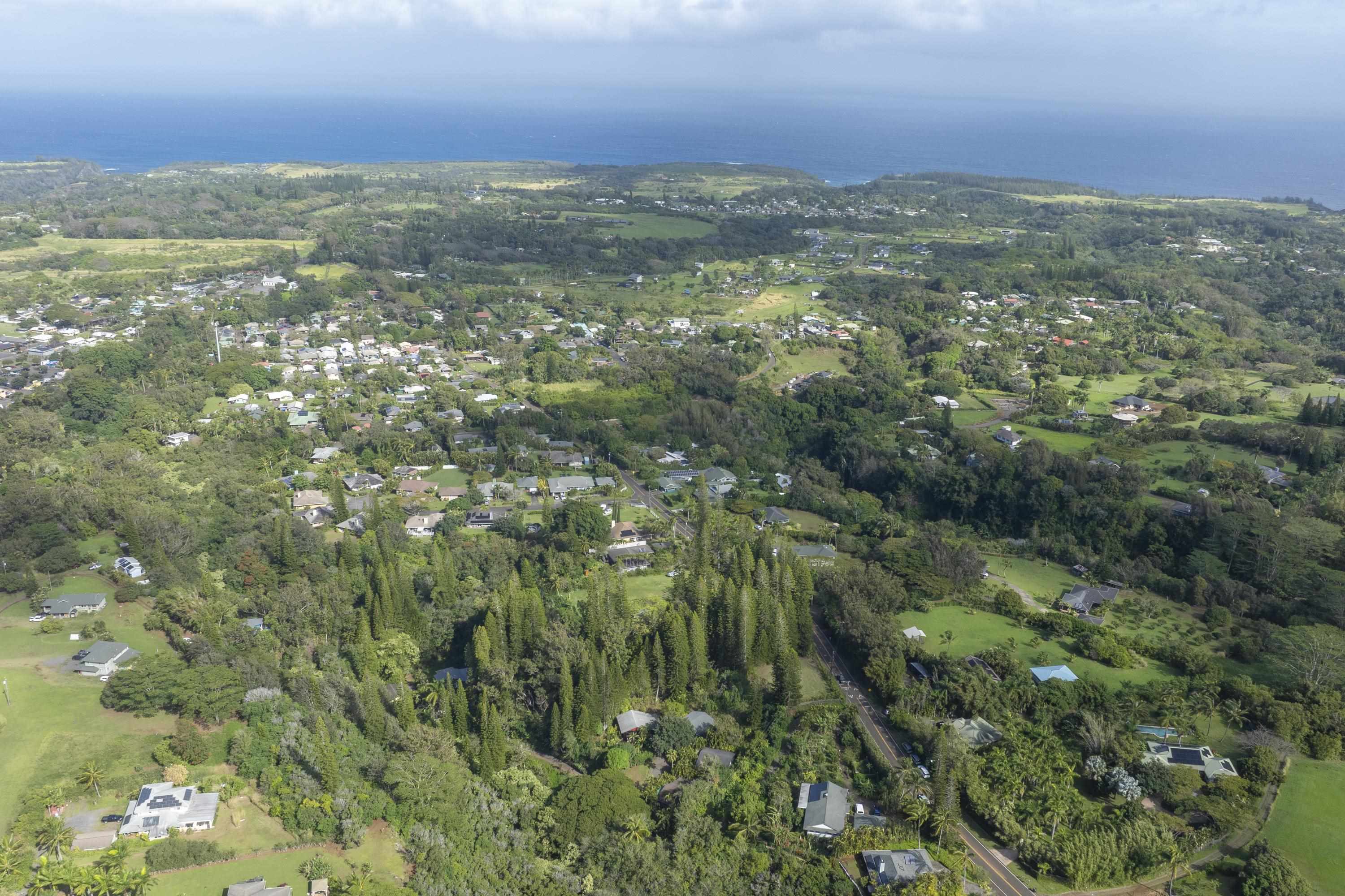 1002 Kauhikoa Rd Property Photo 8