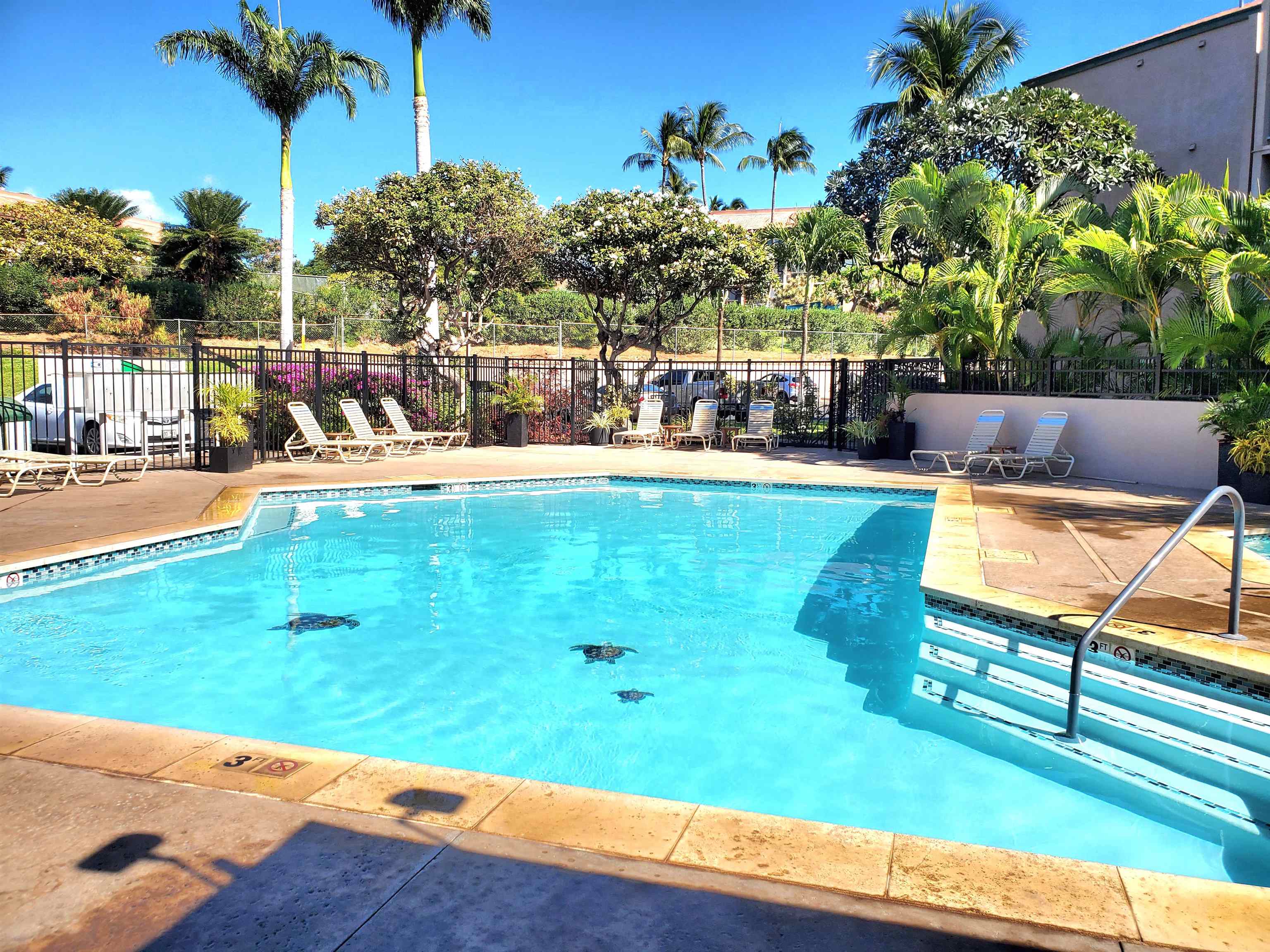 2219 S Kihei Rd Property Photo 12