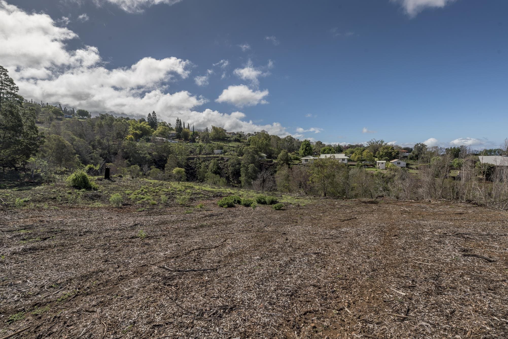 230 Pulehuiki Rd Property Photo 3