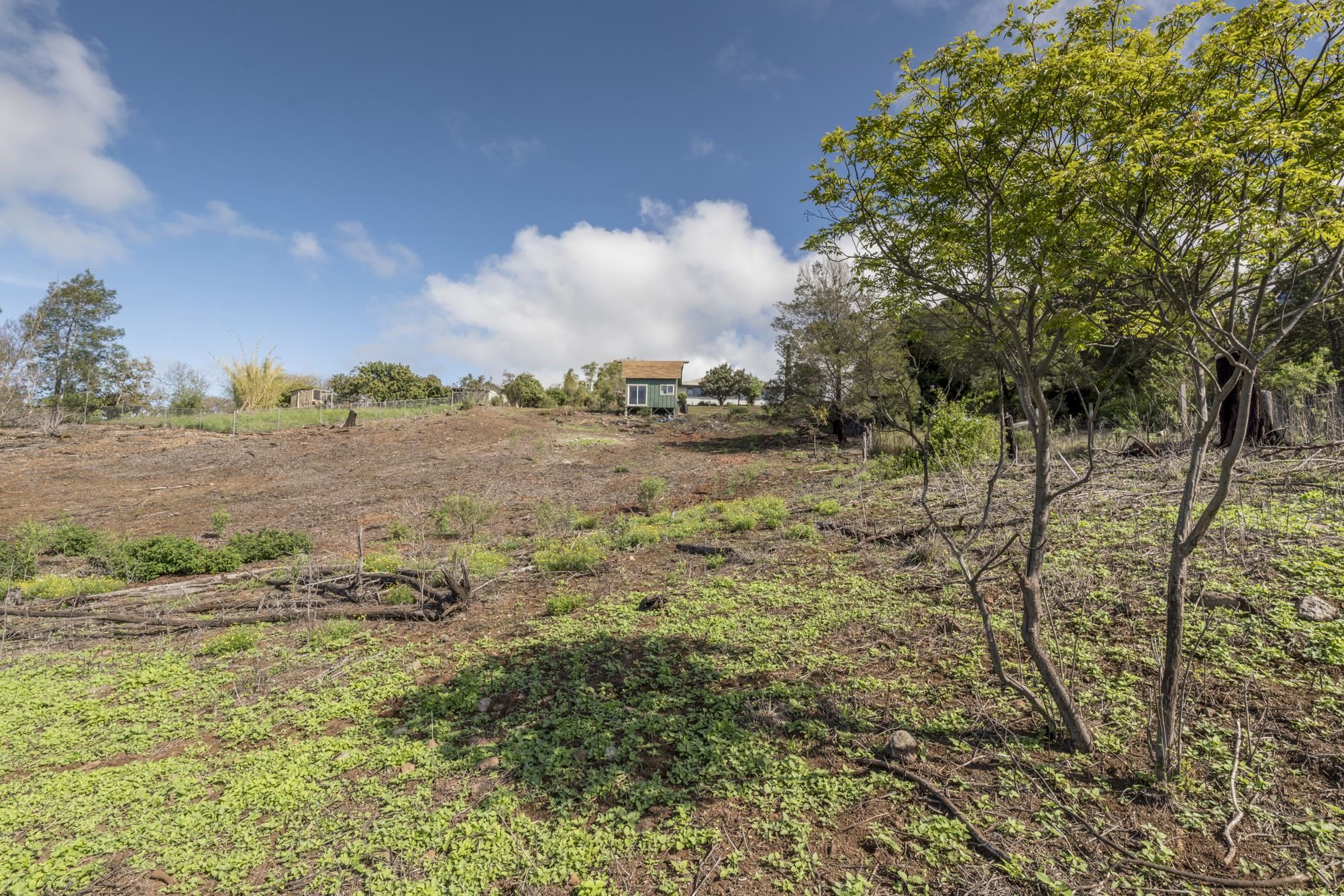 230 Pulehuiki Rd Property Photo 8