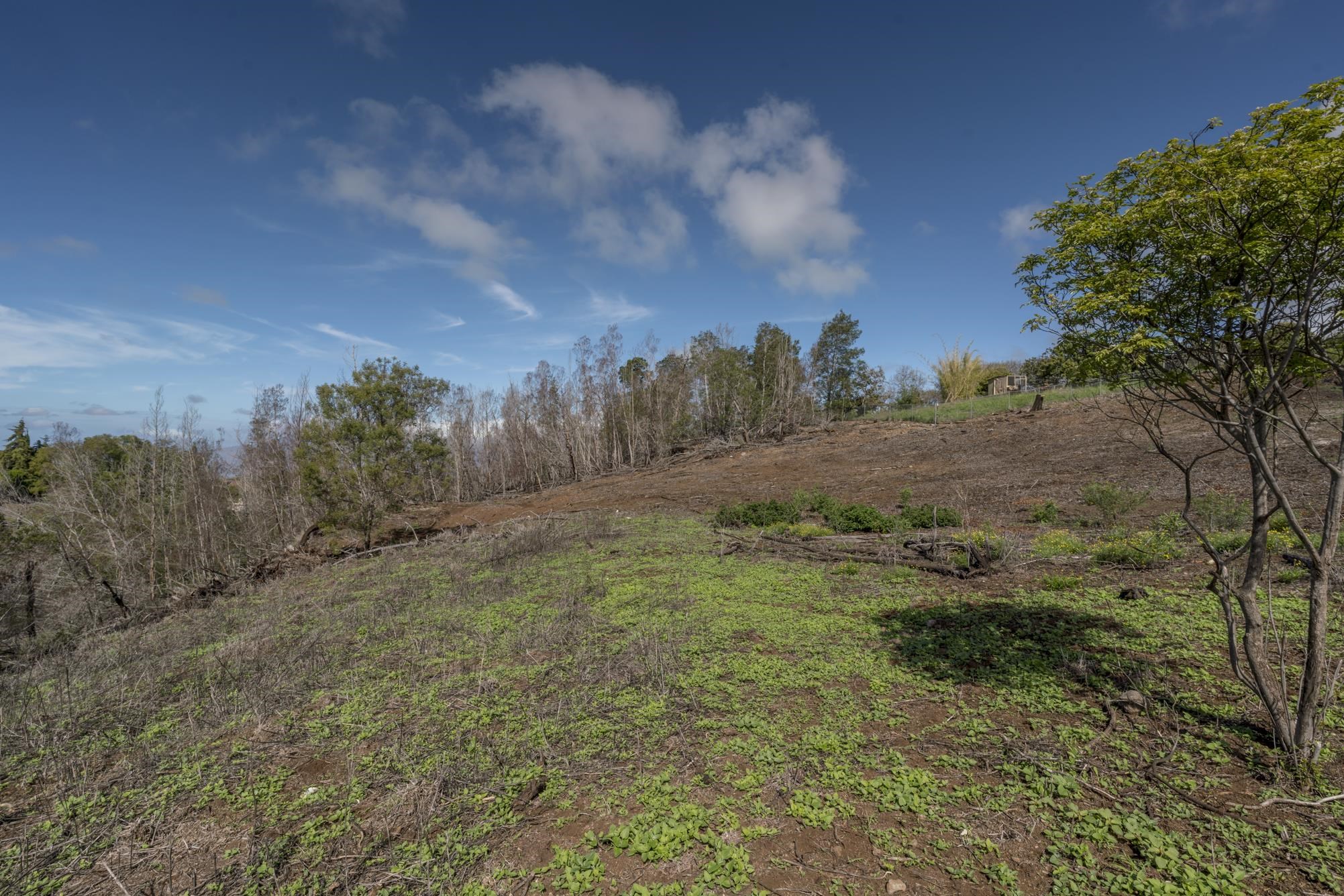 230 Pulehuiki Rd Property Photo 18