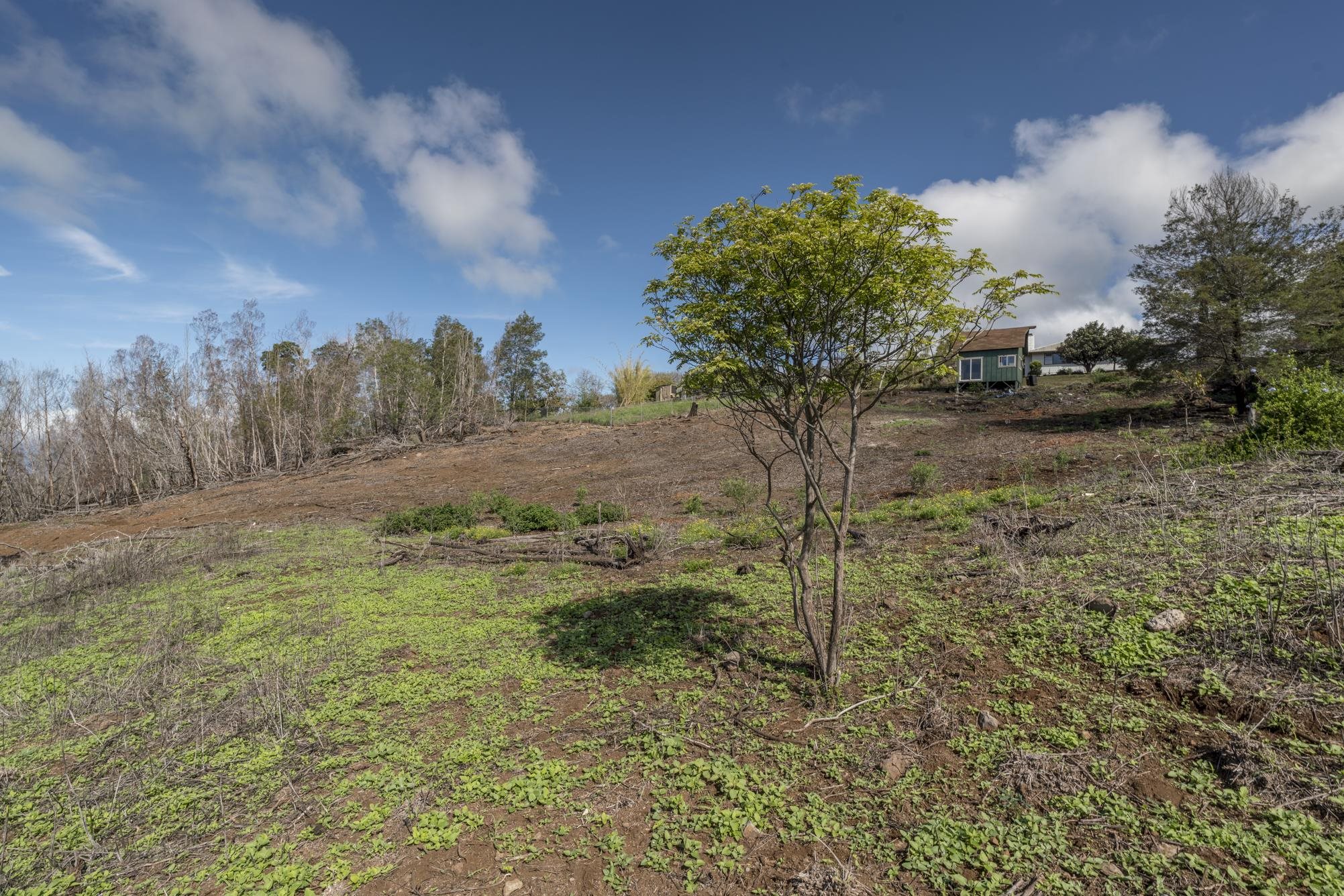 230 Pulehuiki Rd Property Photo 20