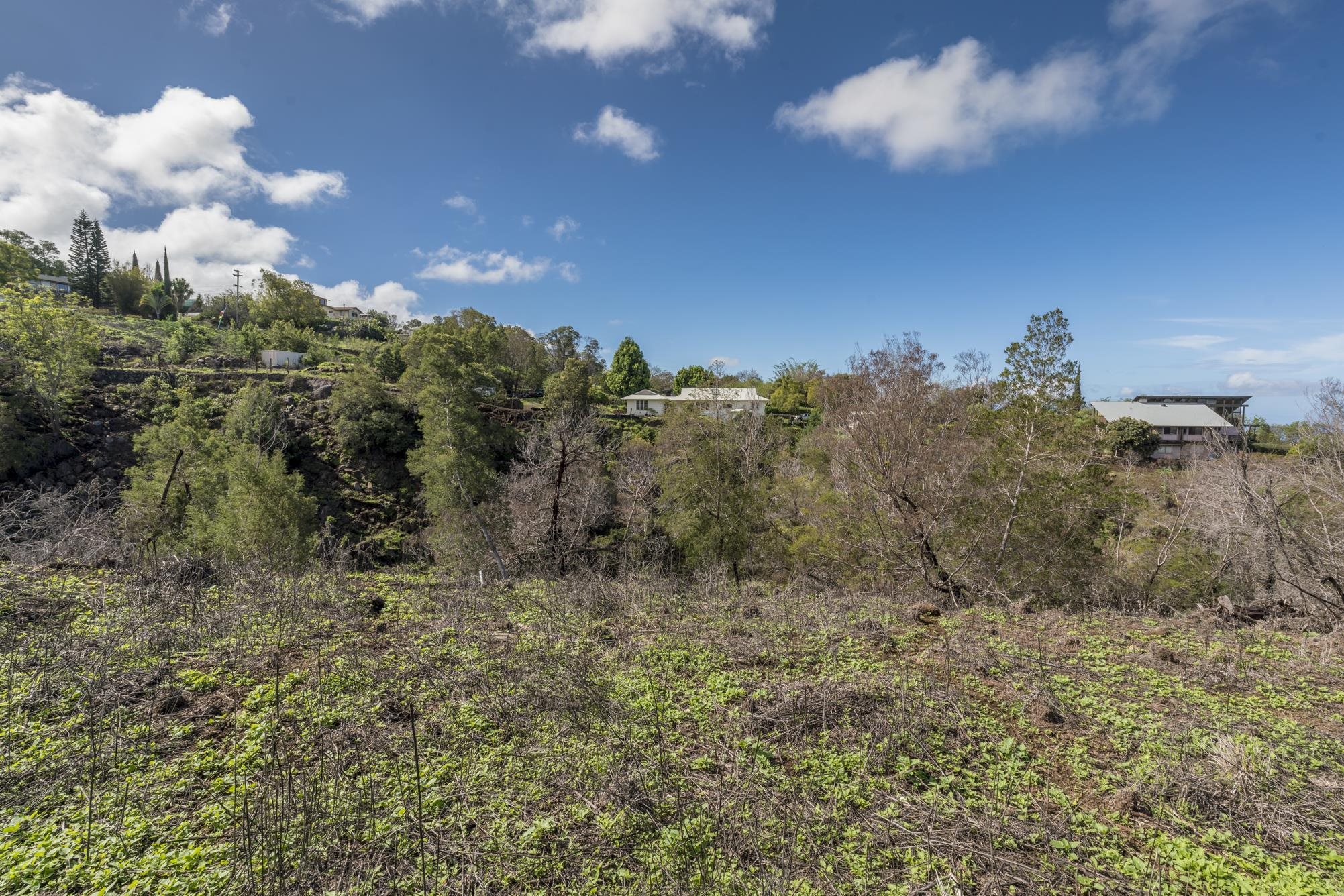 230 Pulehuiki Rd Property Photo 21