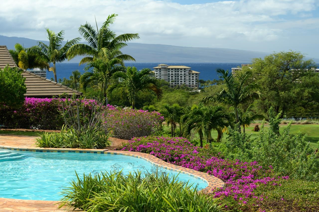 104 Anapuni Loop Property Photo 16